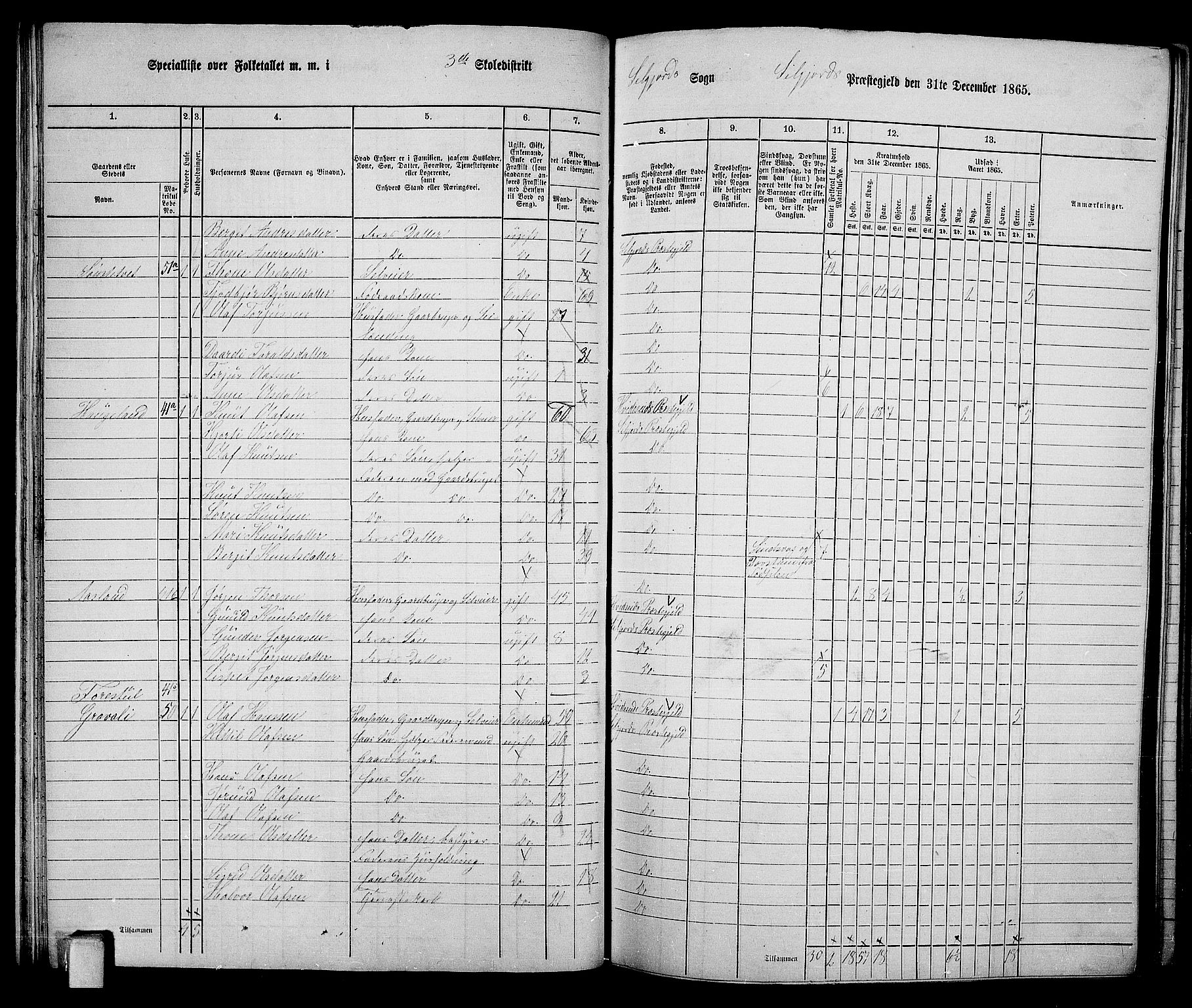 RA, 1865 census for Seljord, 1865, p. 51