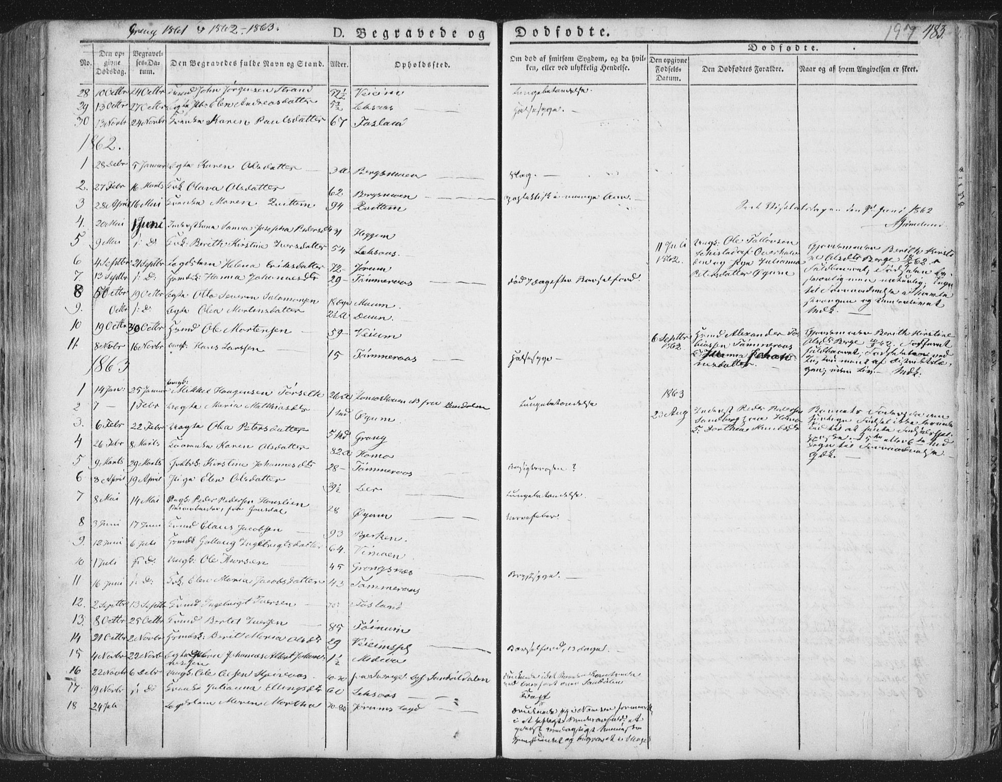 Ministerialprotokoller, klokkerbøker og fødselsregistre - Nord-Trøndelag, SAT/A-1458/758/L0513: Parish register (official) no. 758A02 /1, 1839-1868, p. 197