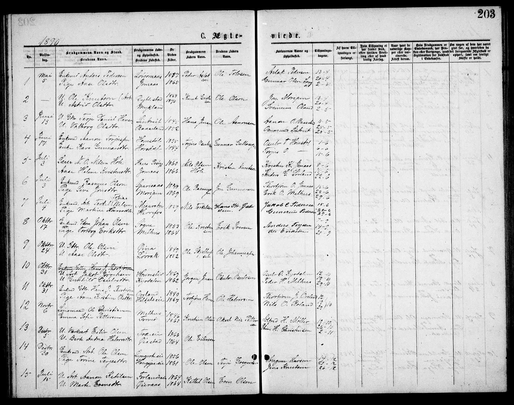 Froland sokneprestkontor, SAK/1111-0013/F/Fb/L0009: Parish register (copy) no. B 9, 1875-1893, p. 203