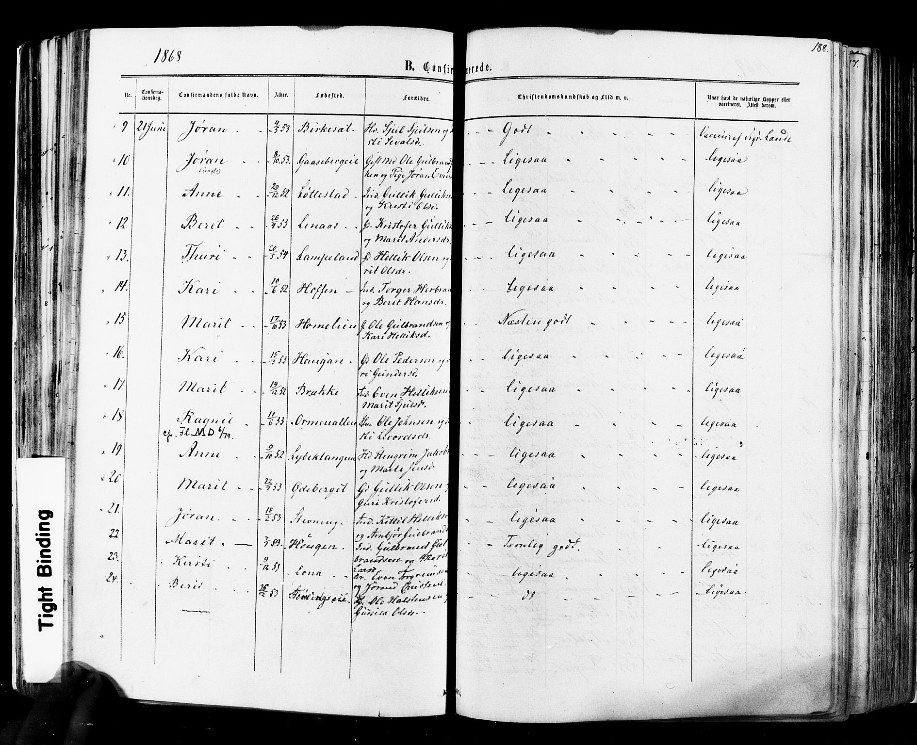 Flesberg kirkebøker, SAKO/A-18/F/Fa/L0007: Parish register (official) no. I 7, 1861-1878, p. 188