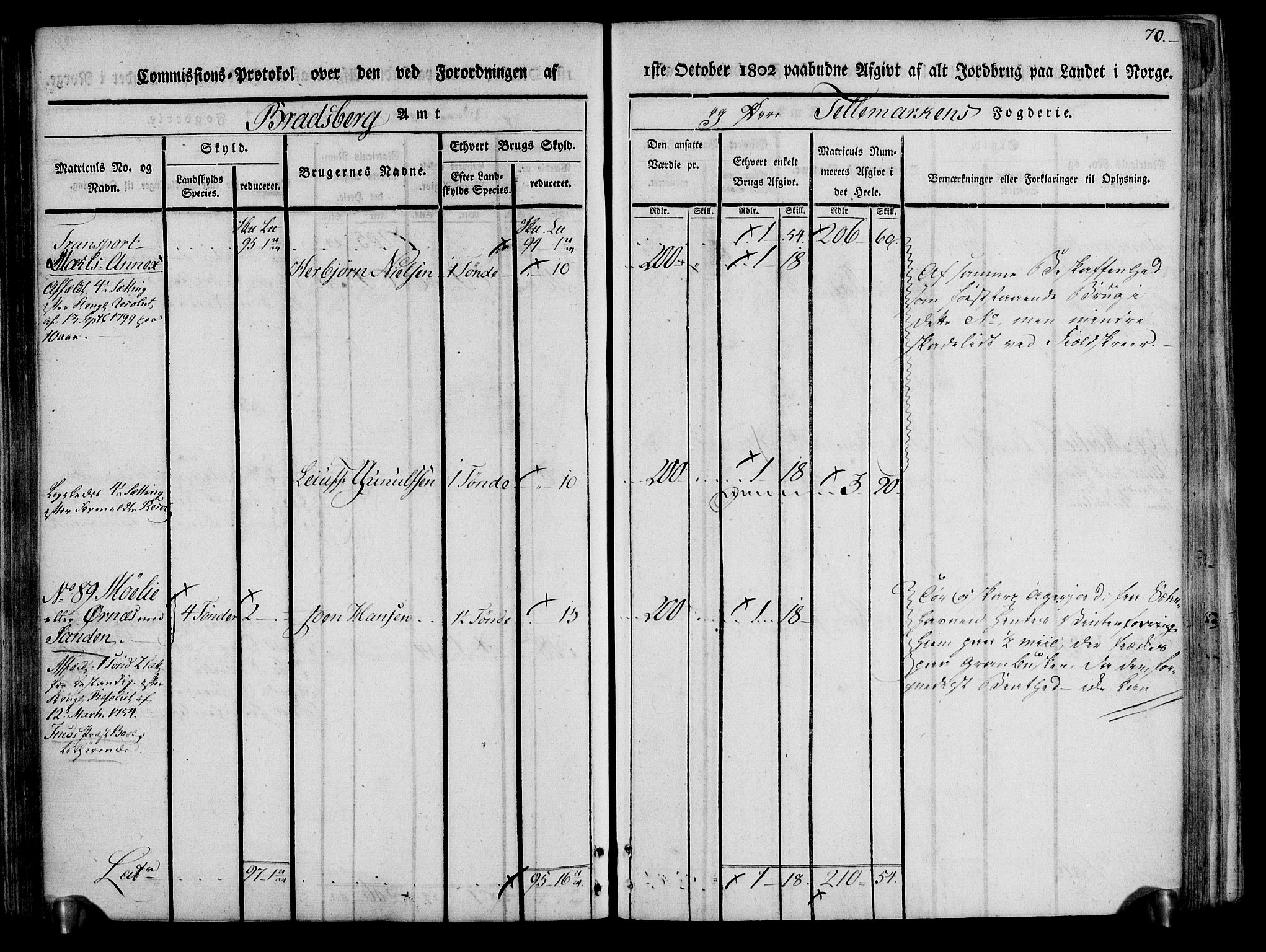 Rentekammeret inntil 1814, Realistisk ordnet avdeling, AV/RA-EA-4070/N/Ne/Nea/L0074: Øvre Telemarken fogderi. Kommisjonsprotokoll for fogderiets østre del - Tinn, Hjartdal og Seljord prestegjeld., 1803, p. 70