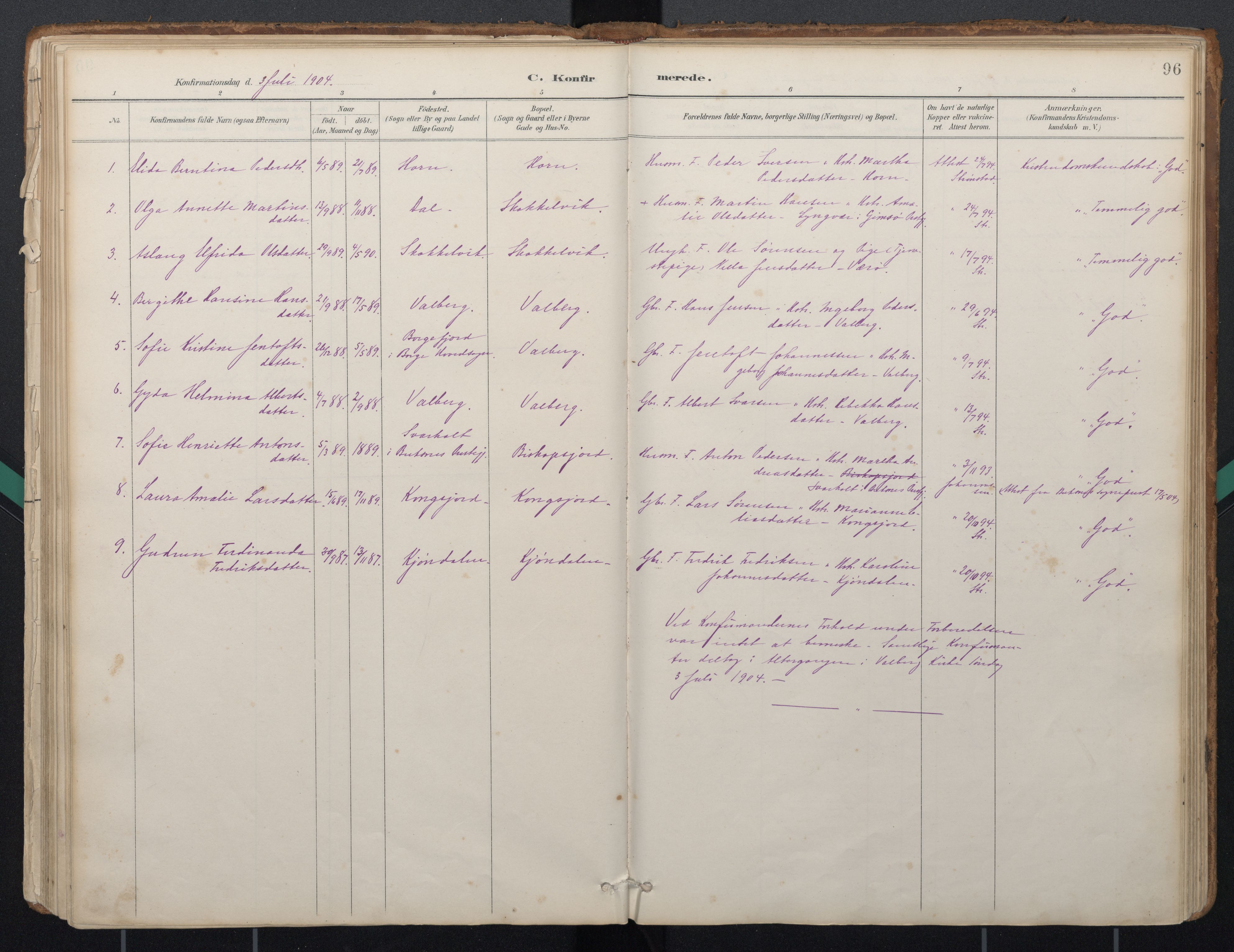 Ministerialprotokoller, klokkerbøker og fødselsregistre - Nordland, AV/SAT-A-1459/884/L1193: Parish register (official) no. 884A01, 1888-1905, p. 96