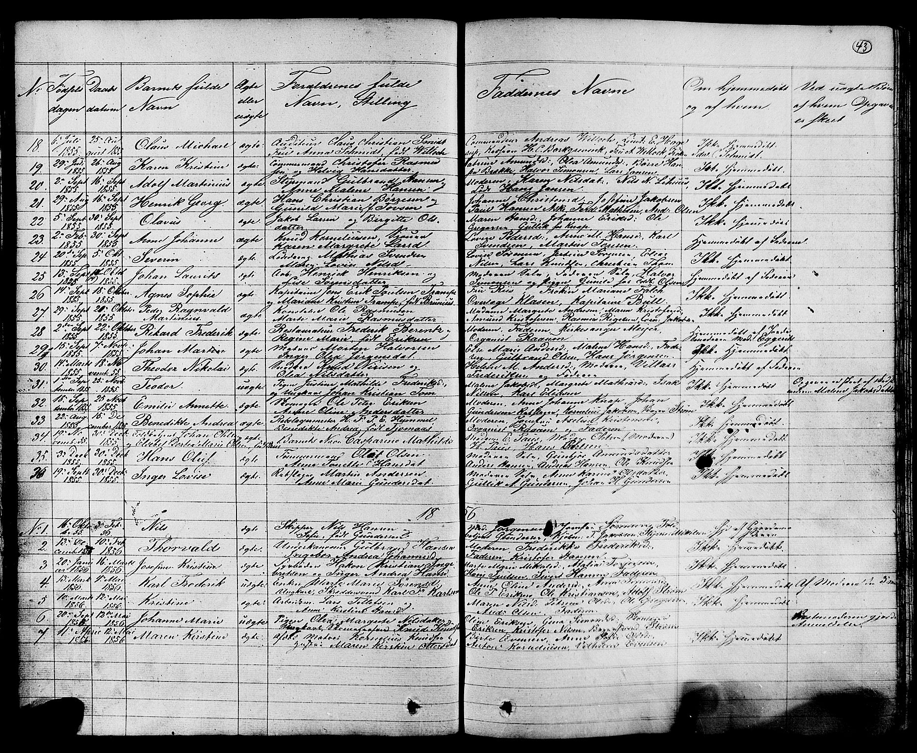 Stavern kirkebøker, AV/SAKO-A-318/G/Ga/L0002: Parish register (copy) no. 2, 1839-1909, p. 43