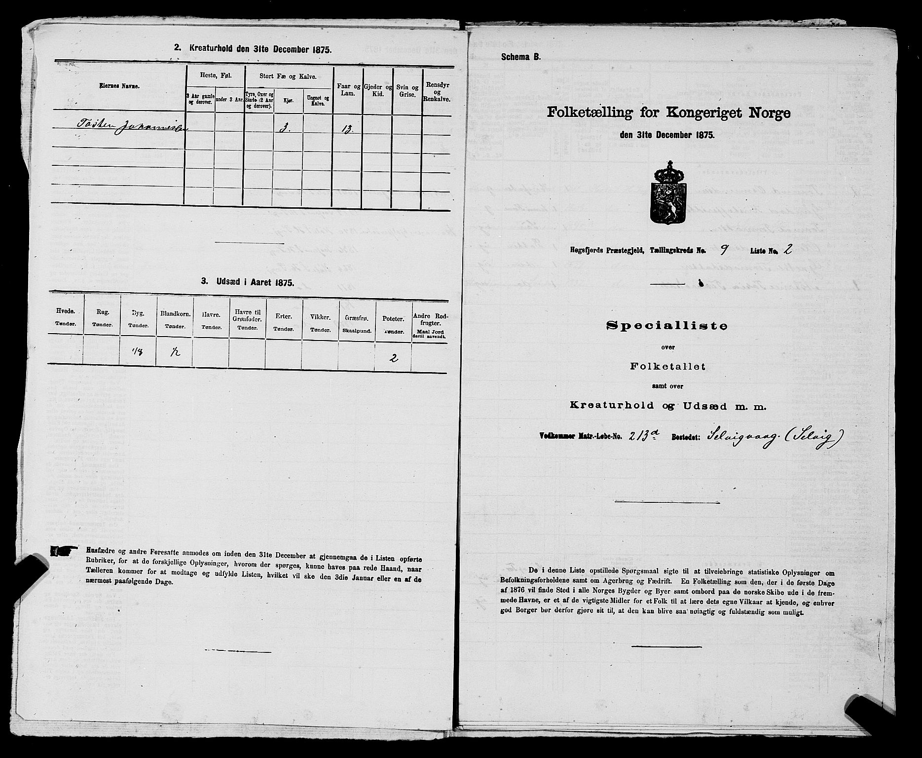 SAST, 1875 census for 1128P Høgsfjord, 1875, p. 745