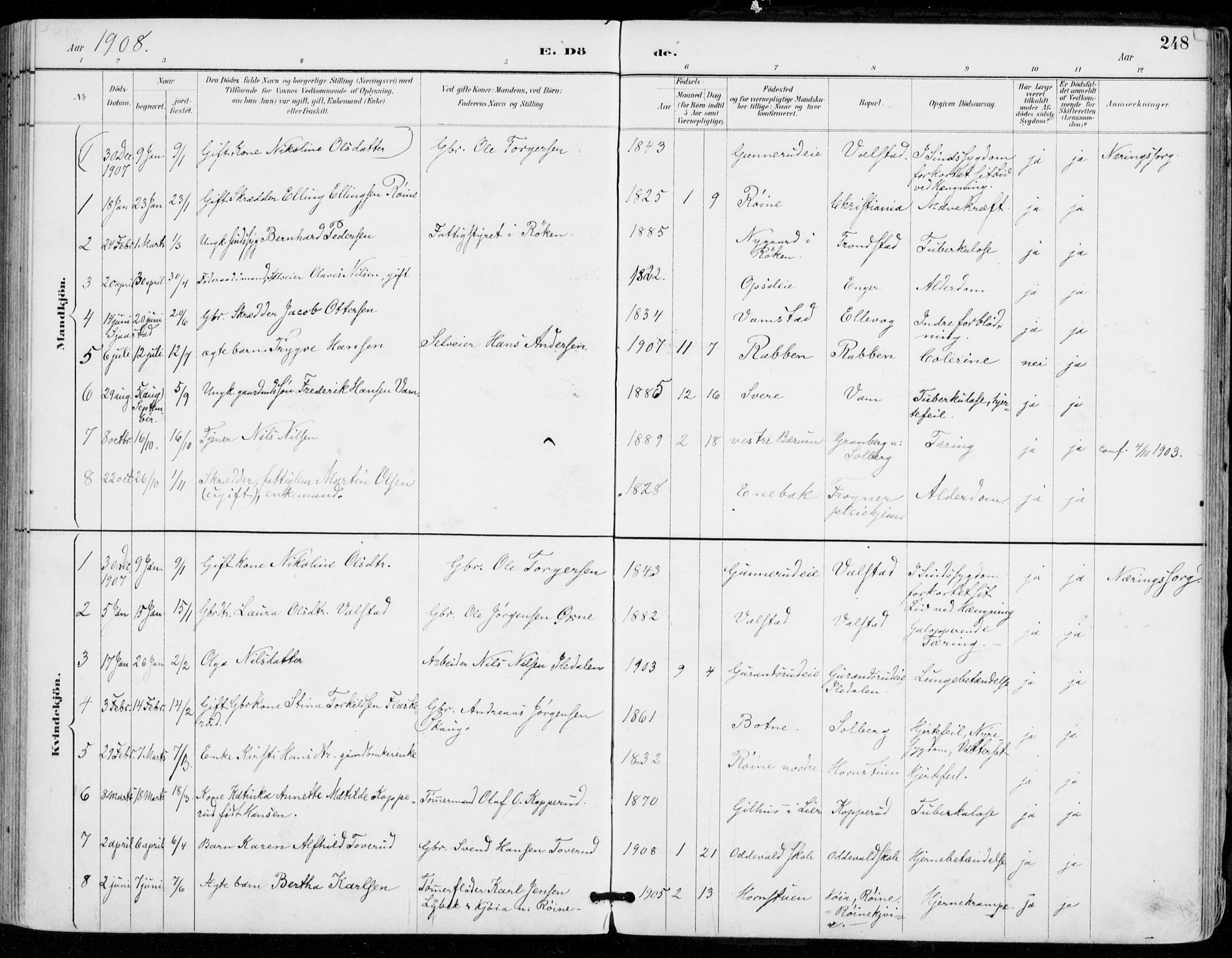 Sylling kirkebøker, SAKO/A-247/F/Fa/L0001: Parish register (official) no. 1, 1883-1910, p. 248