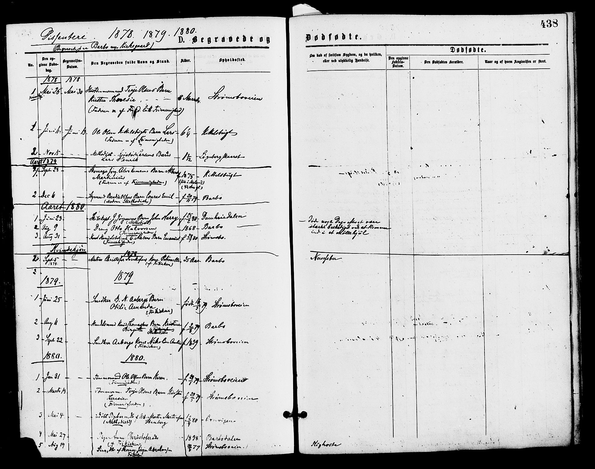 Barbu sokneprestkontor, AV/SAK-1111-0003/F/Fa/L0001: Parish register (official) no. A 1 /1, 1878-1883, p. 438