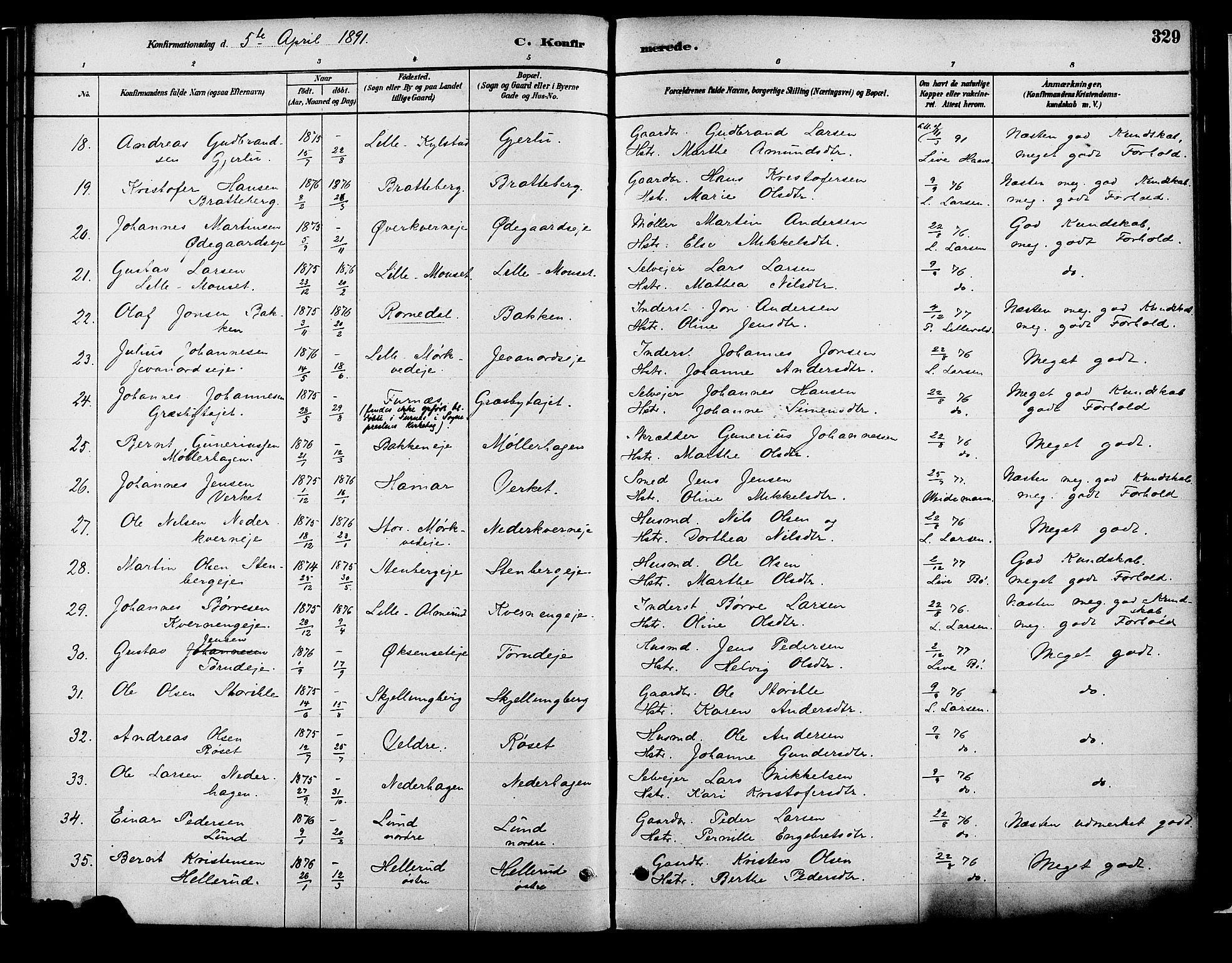 Vang prestekontor, Hedmark, SAH/PREST-008/H/Ha/Haa/L0018B: Parish register (official) no. 18B, 1880-1906, p. 329