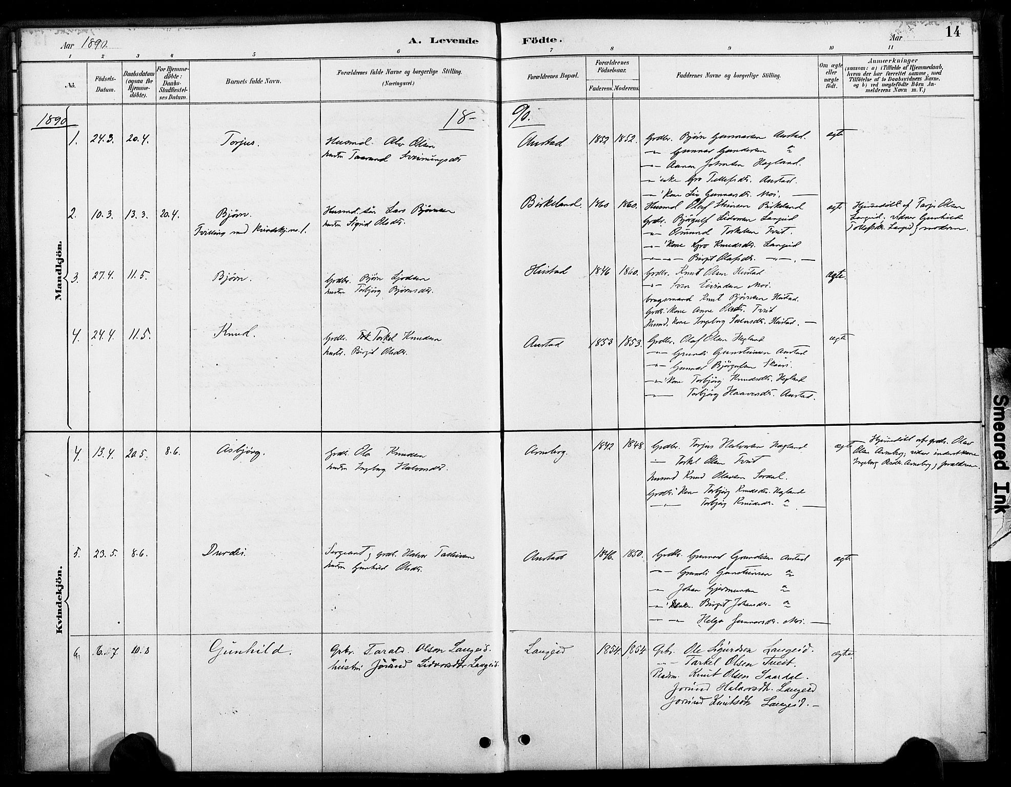 Bygland sokneprestkontor, AV/SAK-1111-0006/F/Fa/Faa/L0001: Parish register (official) no. A 1, 1885-1908, p. 14