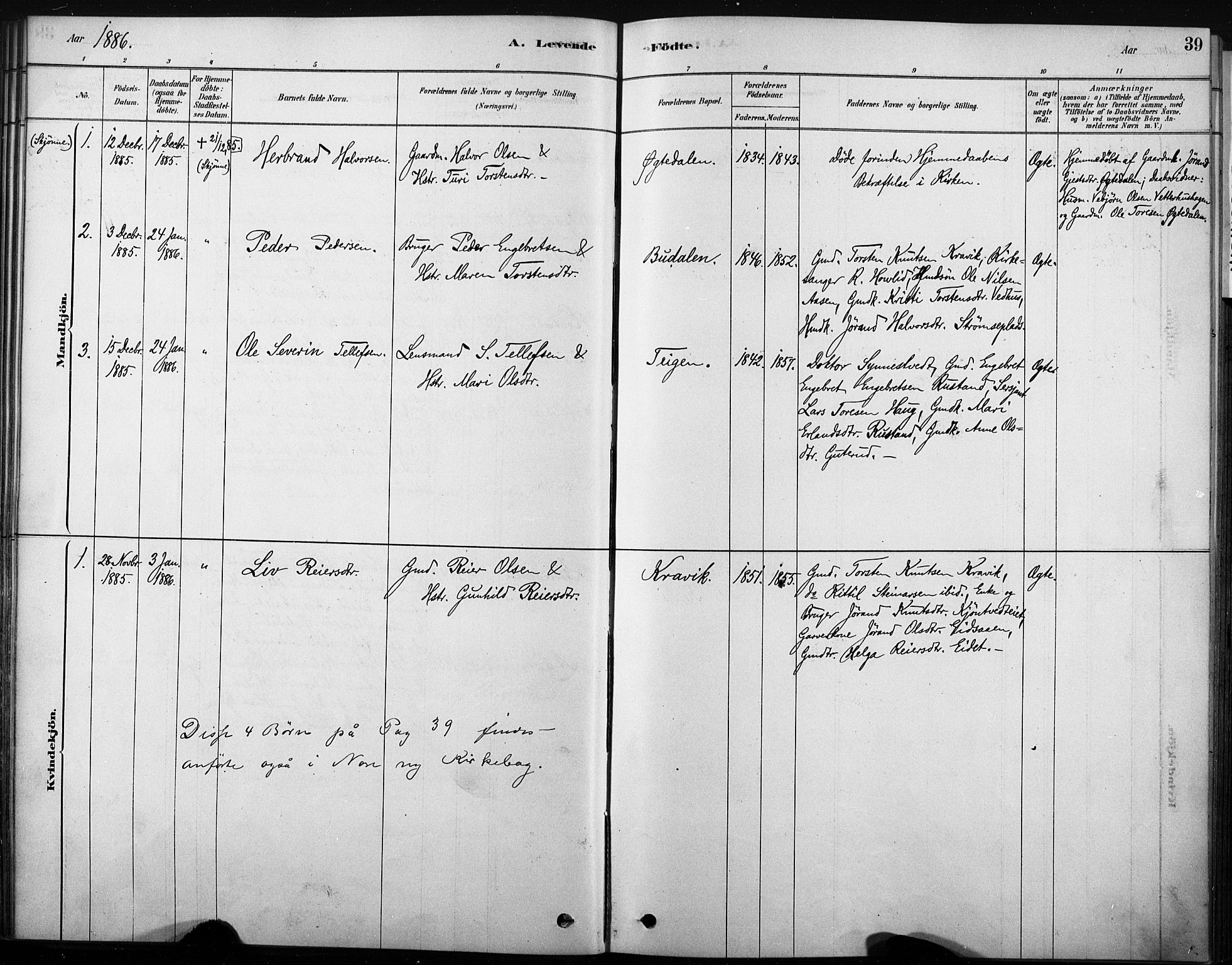 Nore kirkebøker, AV/SAKO-A-238/F/Fb/L0001: Parish register (official) no. II 1, 1878-1886, p. 39