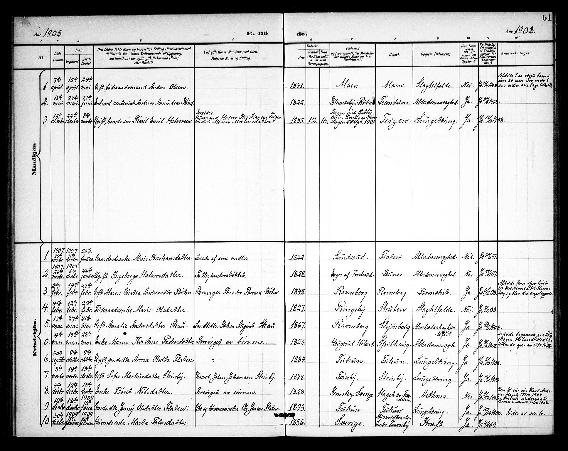 Rødenes prestekontor Kirkebøker, AV/SAO-A-2005/F/Fb/L0003: Parish register (official) no. II 3, 1901-1910, p. 61