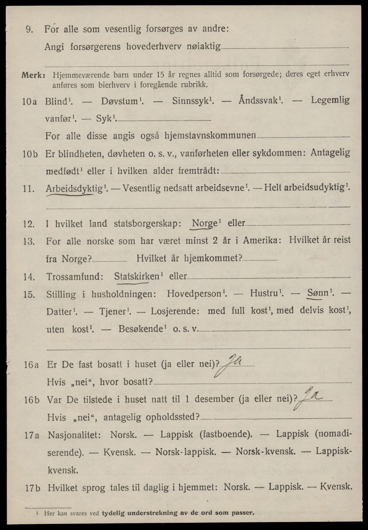 SAT, 1920 census for Røros, 1920, p. 3897