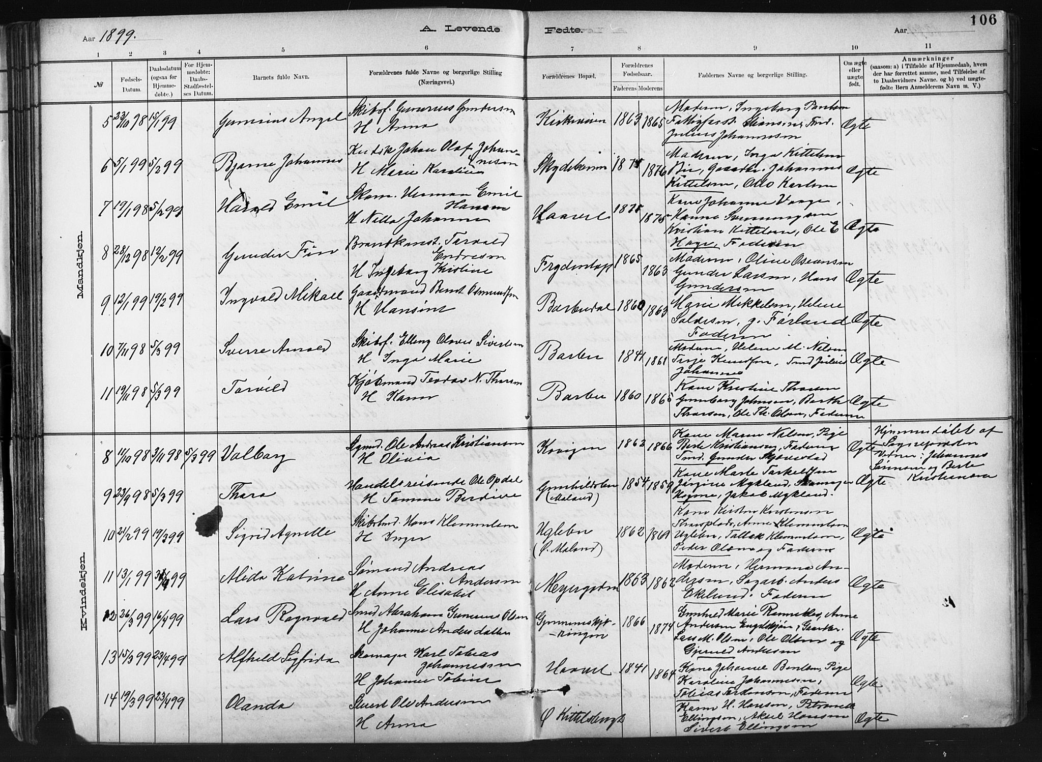 Barbu sokneprestkontor, SAK/1111-0003/F/Fb/L0002: Parish register (copy) no. B 2, 1890-1922, p. 106