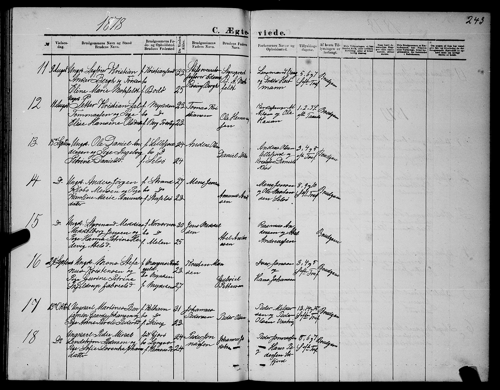 Ministerialprotokoller, klokkerbøker og fødselsregistre - Nordland, AV/SAT-A-1459/841/L0620: Parish register (copy) no. 841C04, 1877-1896, p. 243