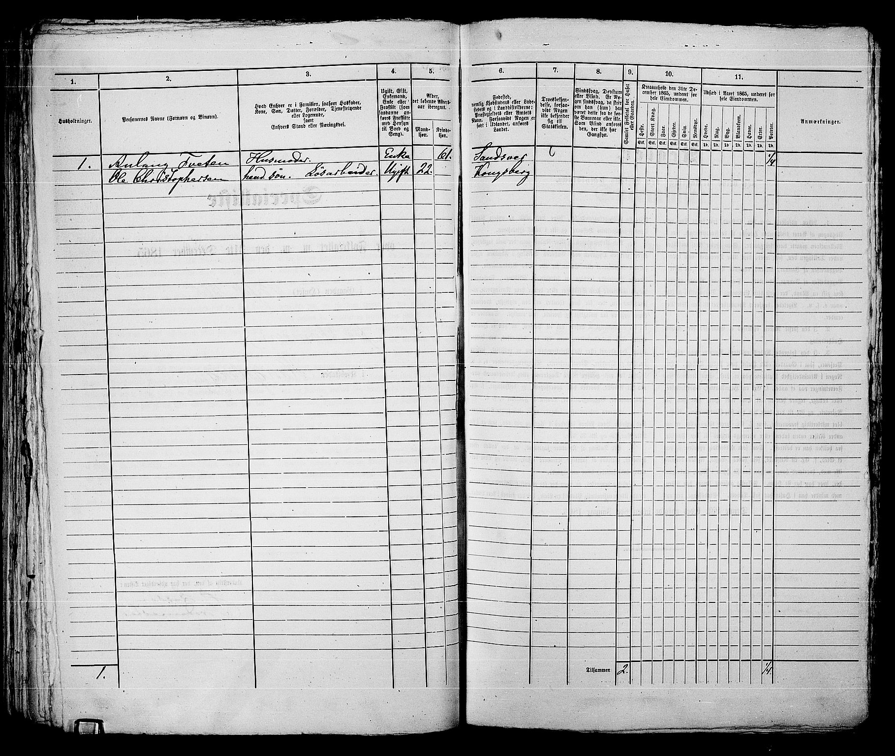 RA, 1865 census for Kongsberg/Kongsberg, 1865, p. 676