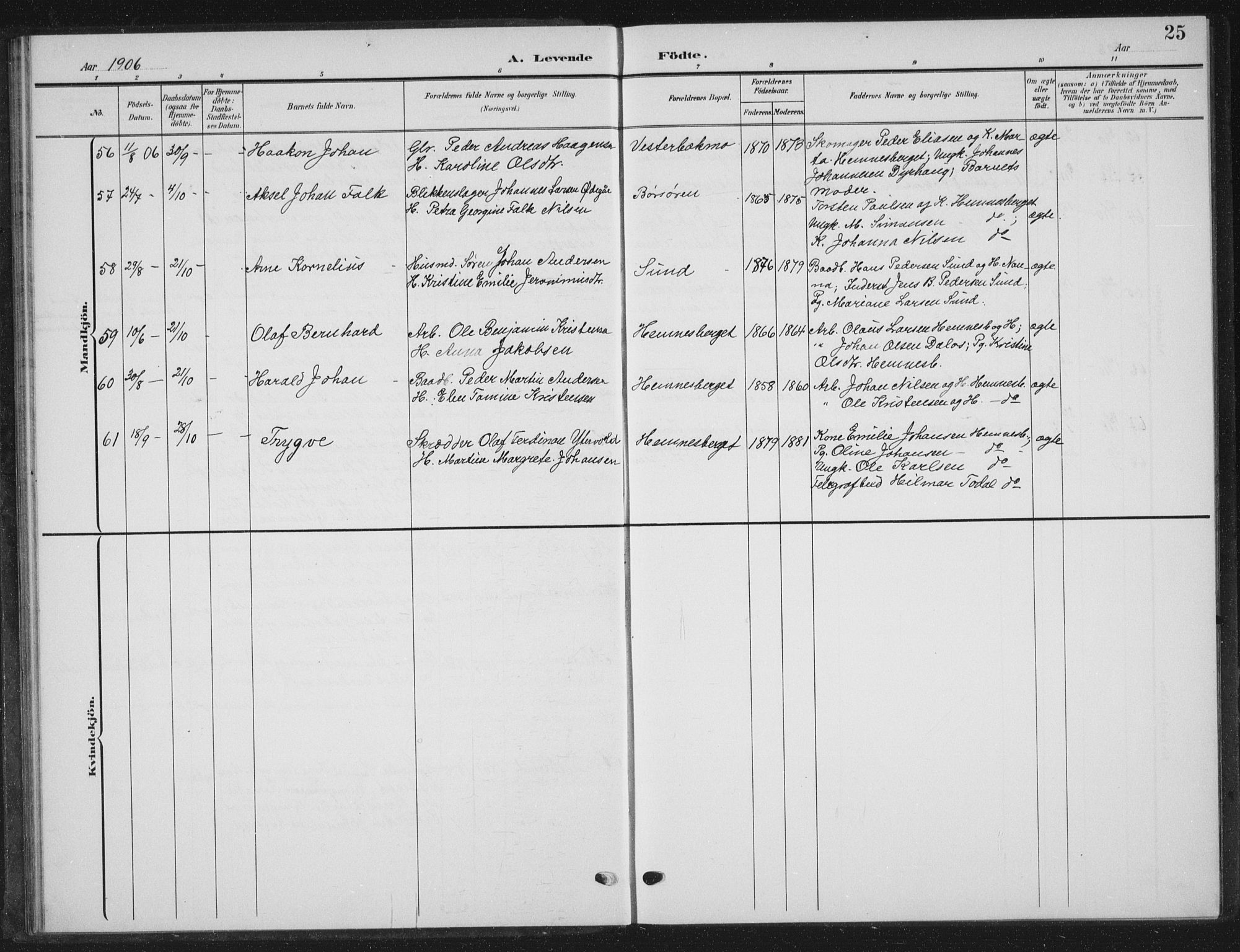 Ministerialprotokoller, klokkerbøker og fødselsregistre - Nordland, AV/SAT-A-1459/825/L0370: Parish register (copy) no. 825C07, 1903-1923, p. 25