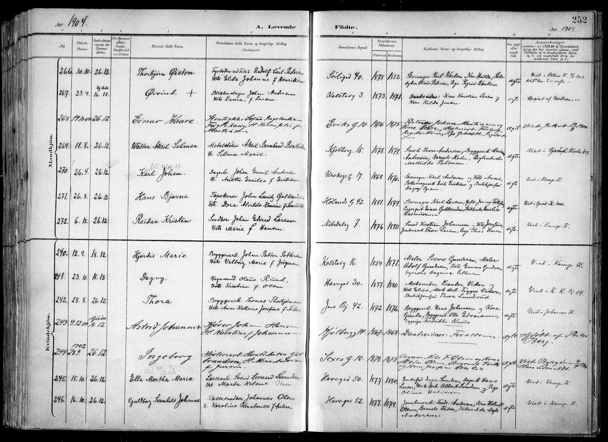 Kampen prestekontor Kirkebøker, AV/SAO-A-10853/F/Fa/L0007: Parish register (official) no. I 7, 1897-1905, p. 252