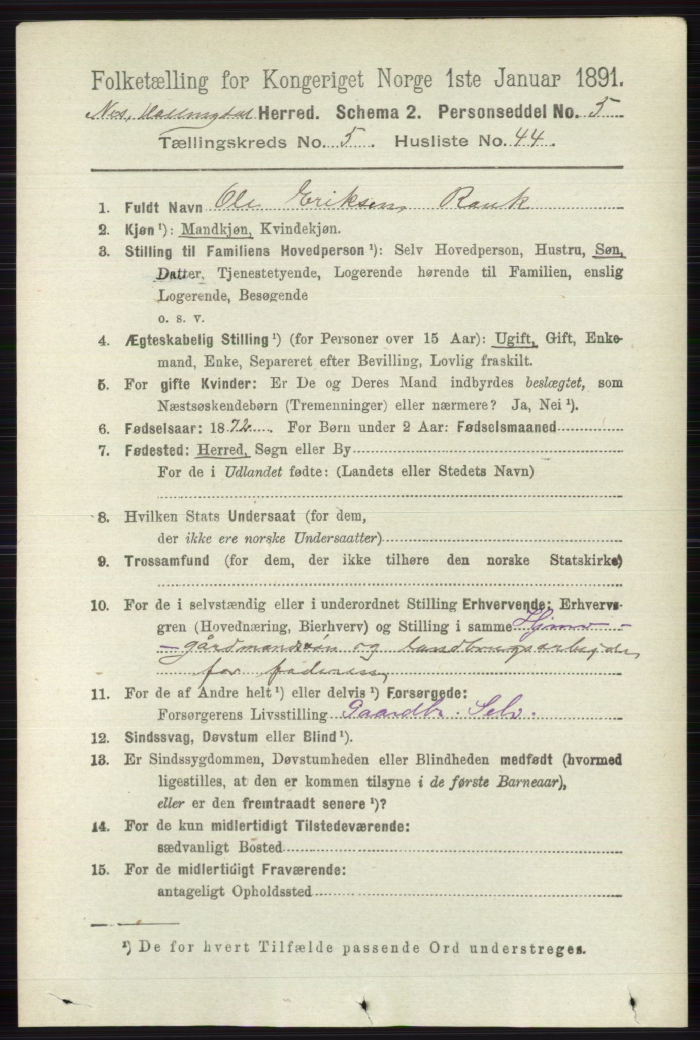 RA, 1891 census for 0616 Nes, 1891, p. 2871