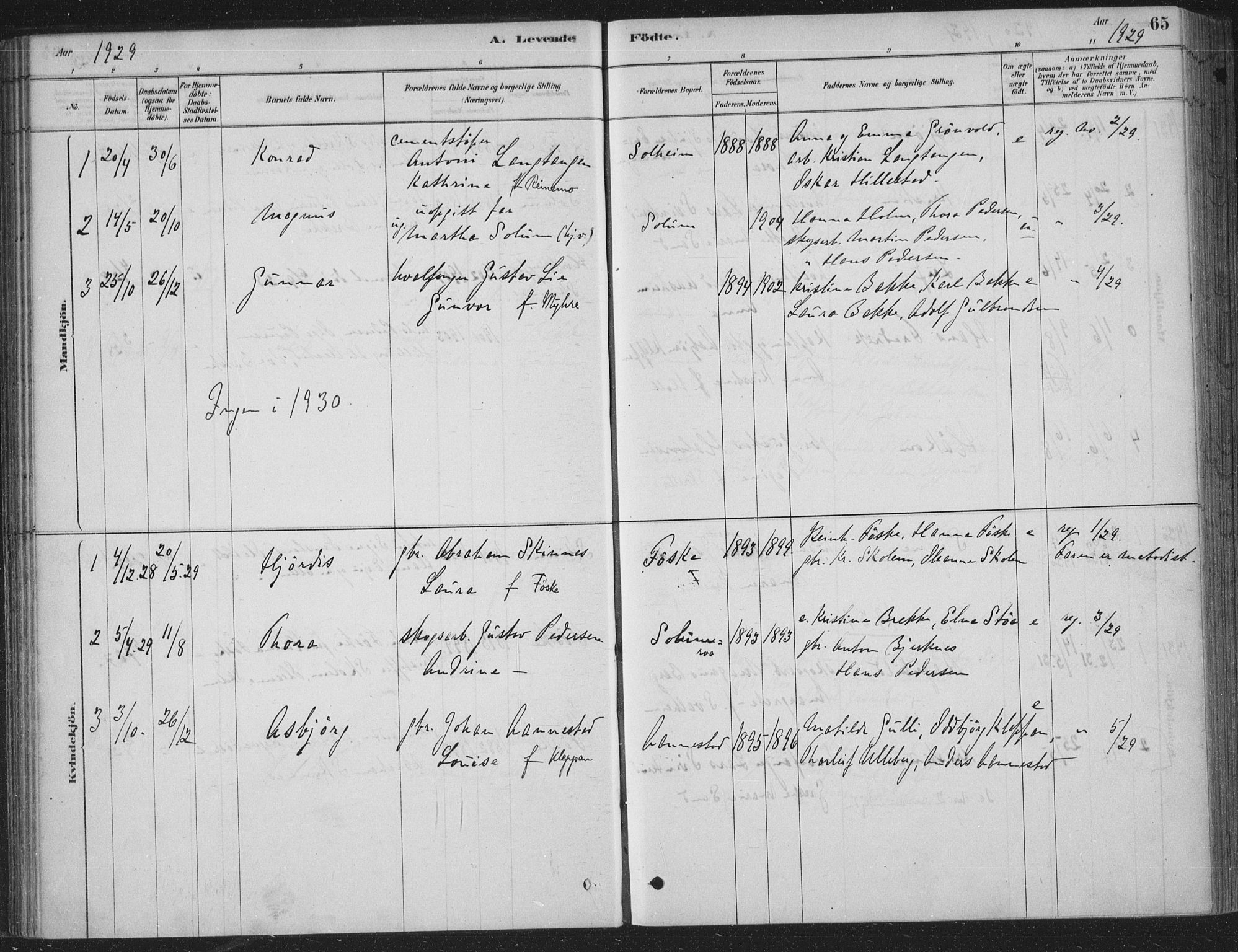 Sandsvær kirkebøker, AV/SAKO-A-244/F/Fe/L0001: Parish register (official) no. V 1, 1878-1936, p. 65