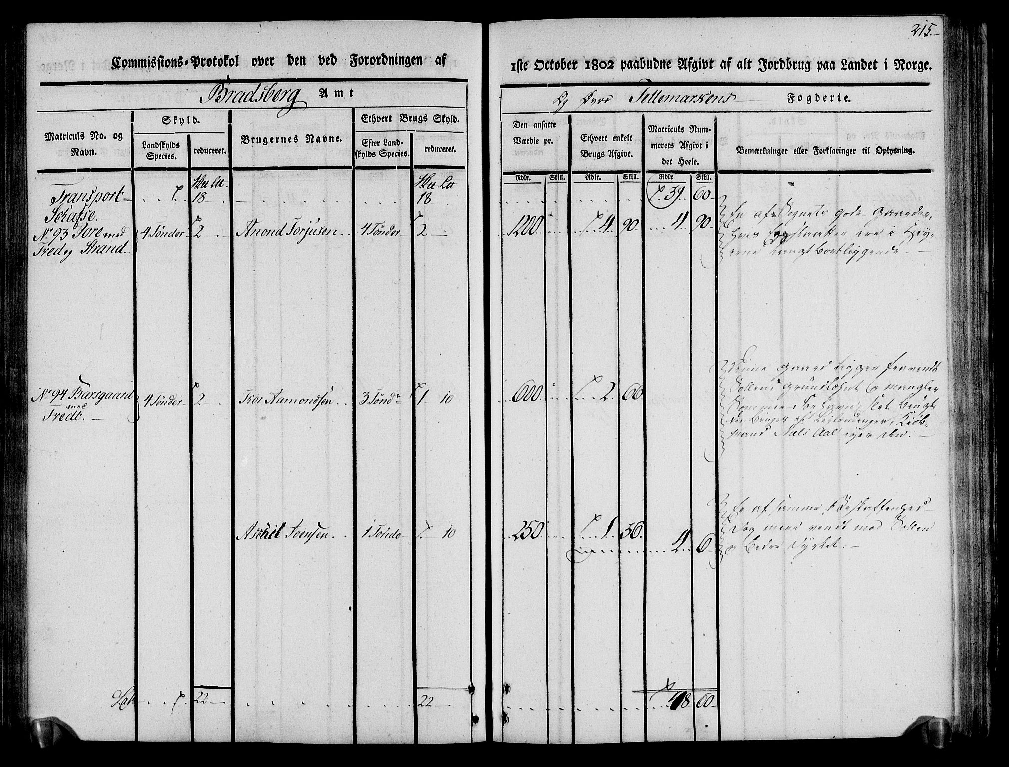 Rentekammeret inntil 1814, Realistisk ordnet avdeling, AV/RA-EA-4070/N/Ne/Nea/L0075: Øvre Telemarken fogderi. Kommisjonsprotokoll for fogderiets vestre del - Kviteseid, Vinje, Moland [):Fyresdal] og Lårdal prestegjeld., 1803, p. 217