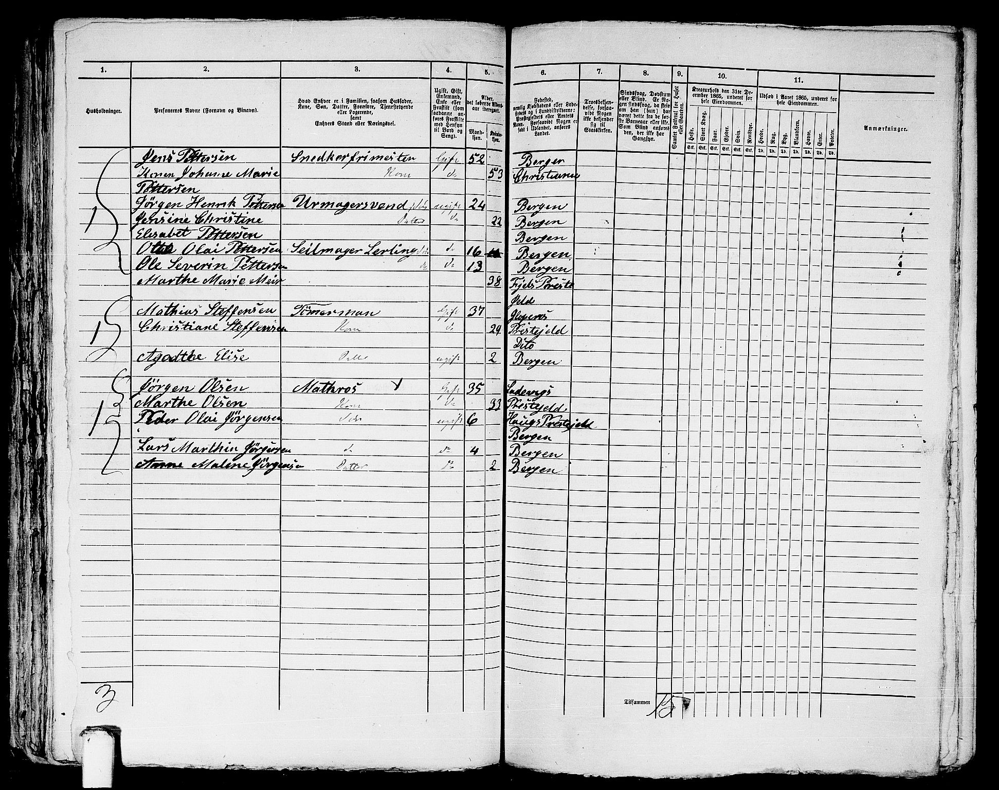 RA, 1865 census for Bergen, 1865, p. 1213