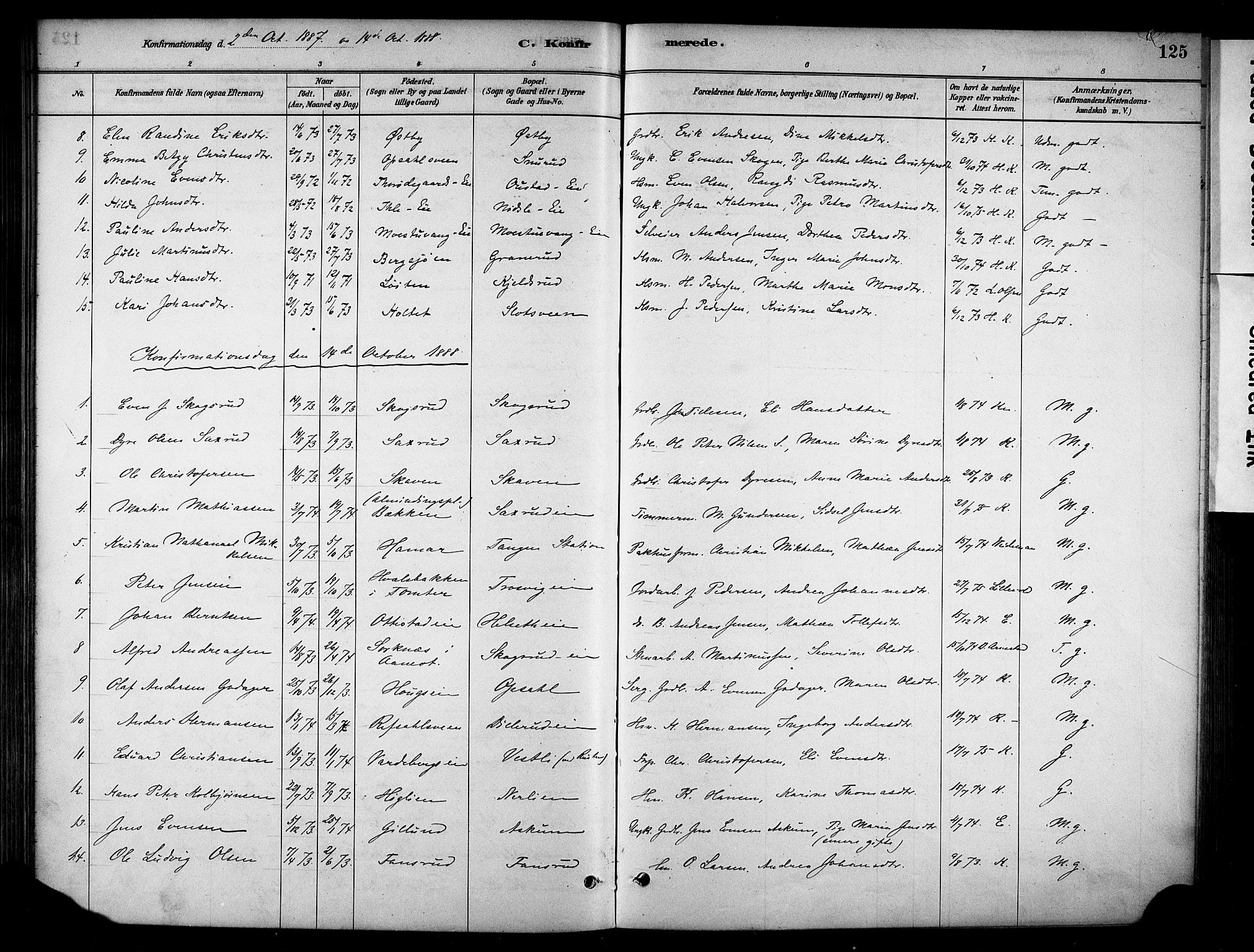 Stange prestekontor, SAH/PREST-002/K/L0018: Parish register (official) no. 18, 1880-1896, p. 125