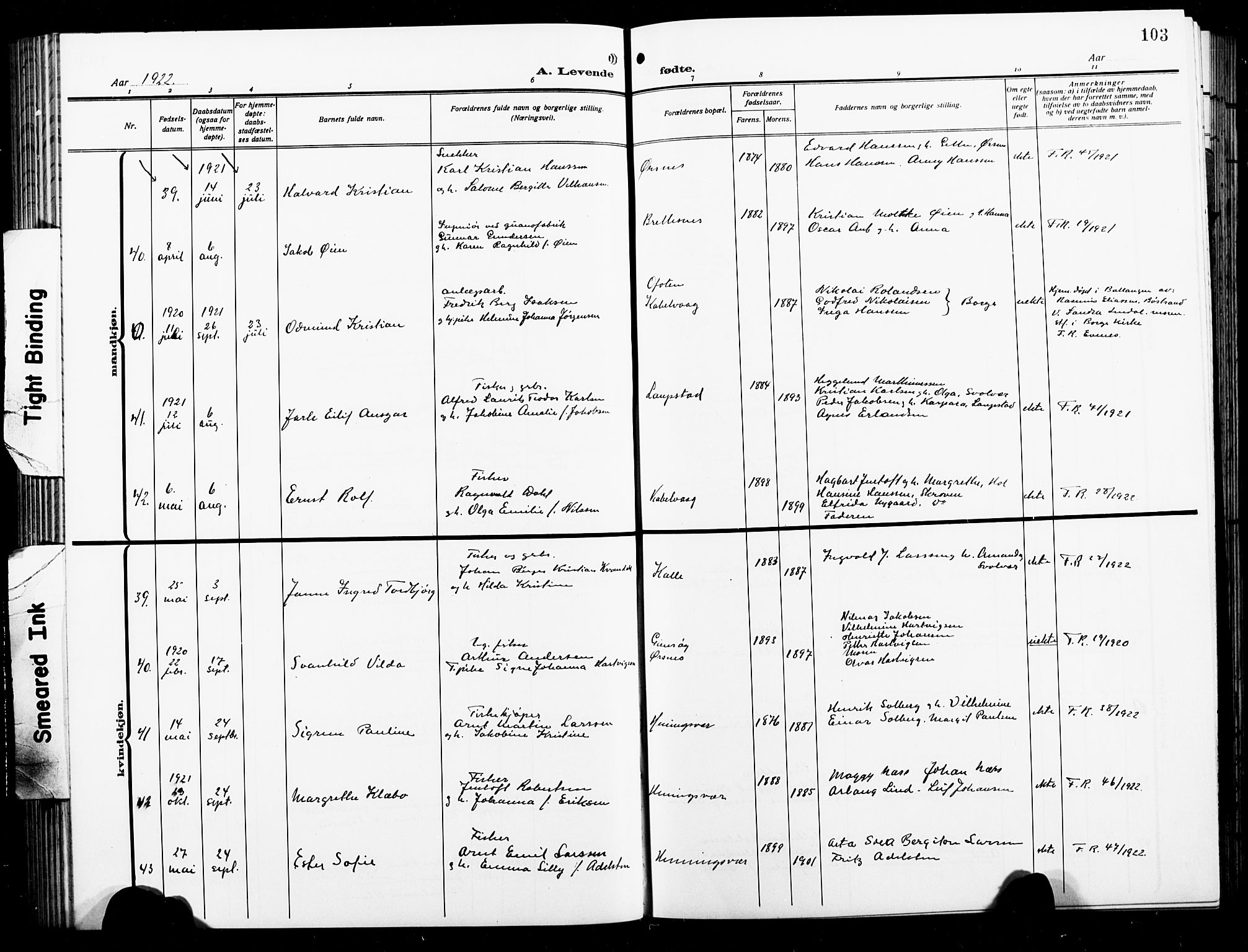 Ministerialprotokoller, klokkerbøker og fødselsregistre - Nordland, AV/SAT-A-1459/874/L1080: Parish register (copy) no. 874C09, 1915-1925, p. 103