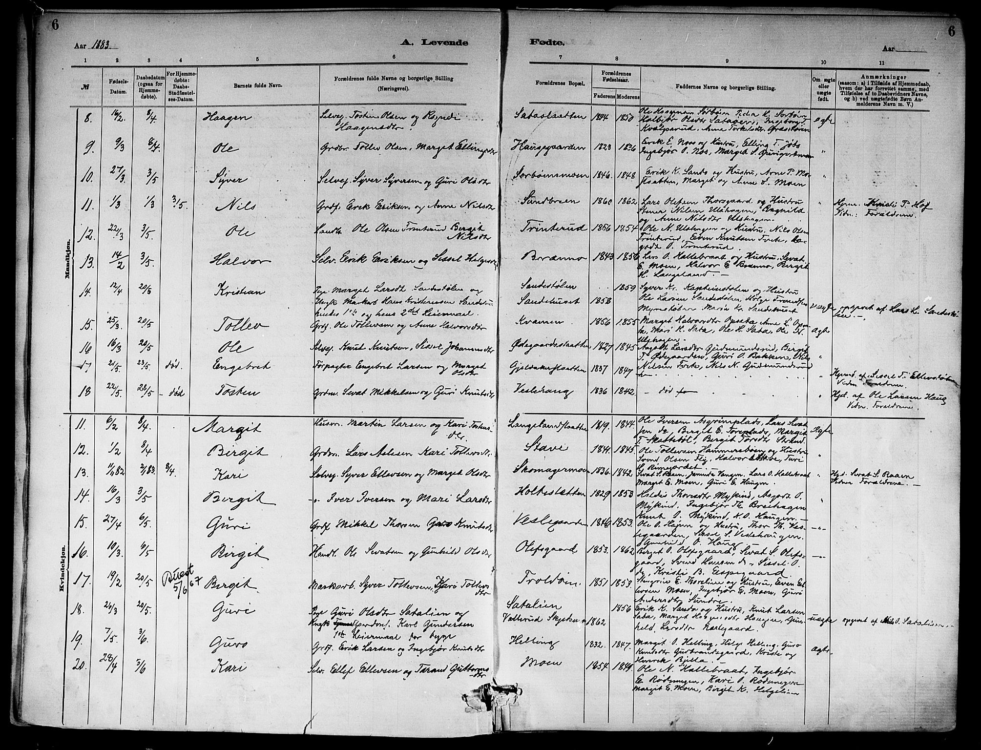 Ål kirkebøker, SAKO/A-249/F/Fa/L0008: Parish register (official) no. I 8, 1882-1896, p. 6