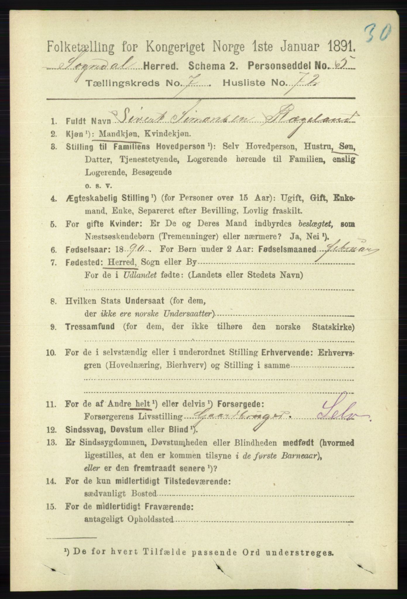 RA, 1891 census for 1111 Sokndal, 1891, p. 2578