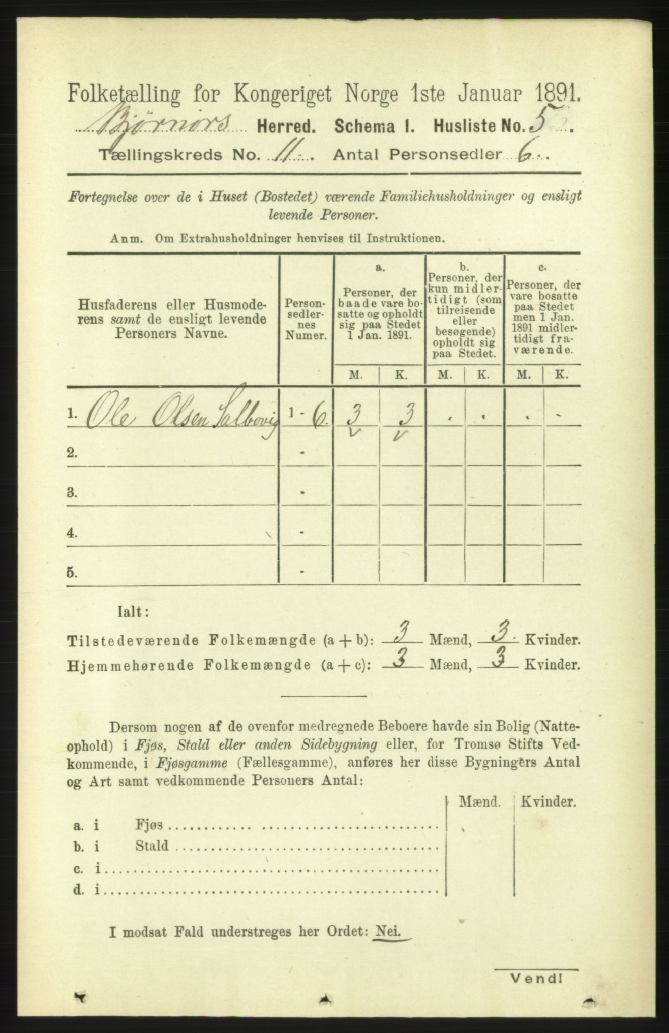 RA, 1891 census for 1632 Bjørnør, 1891, p. 4608