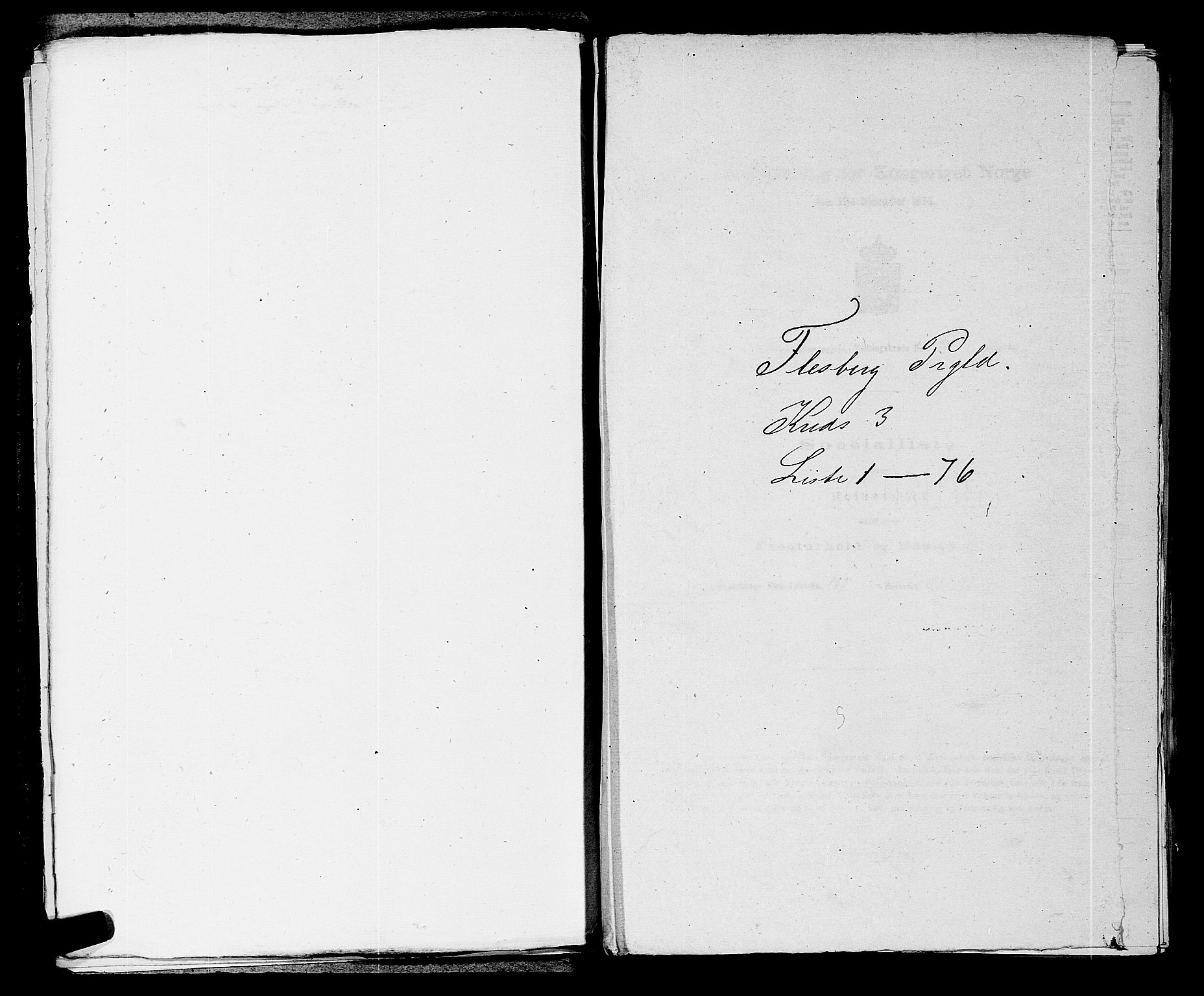 SAKO, 1875 census for 0631P Flesberg, 1875, p. 531