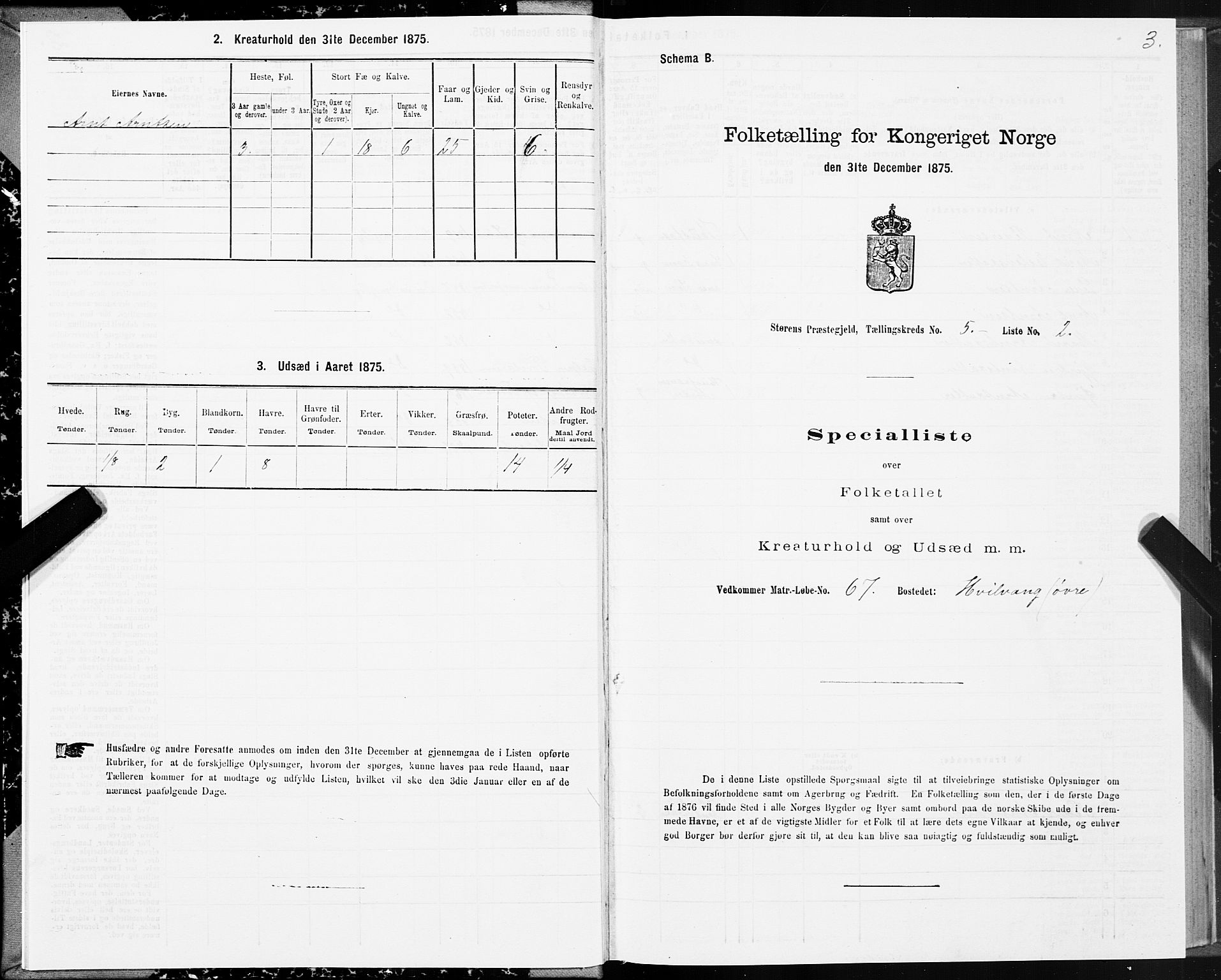 SAT, 1875 census for 1648P Støren, 1875, p. 3003