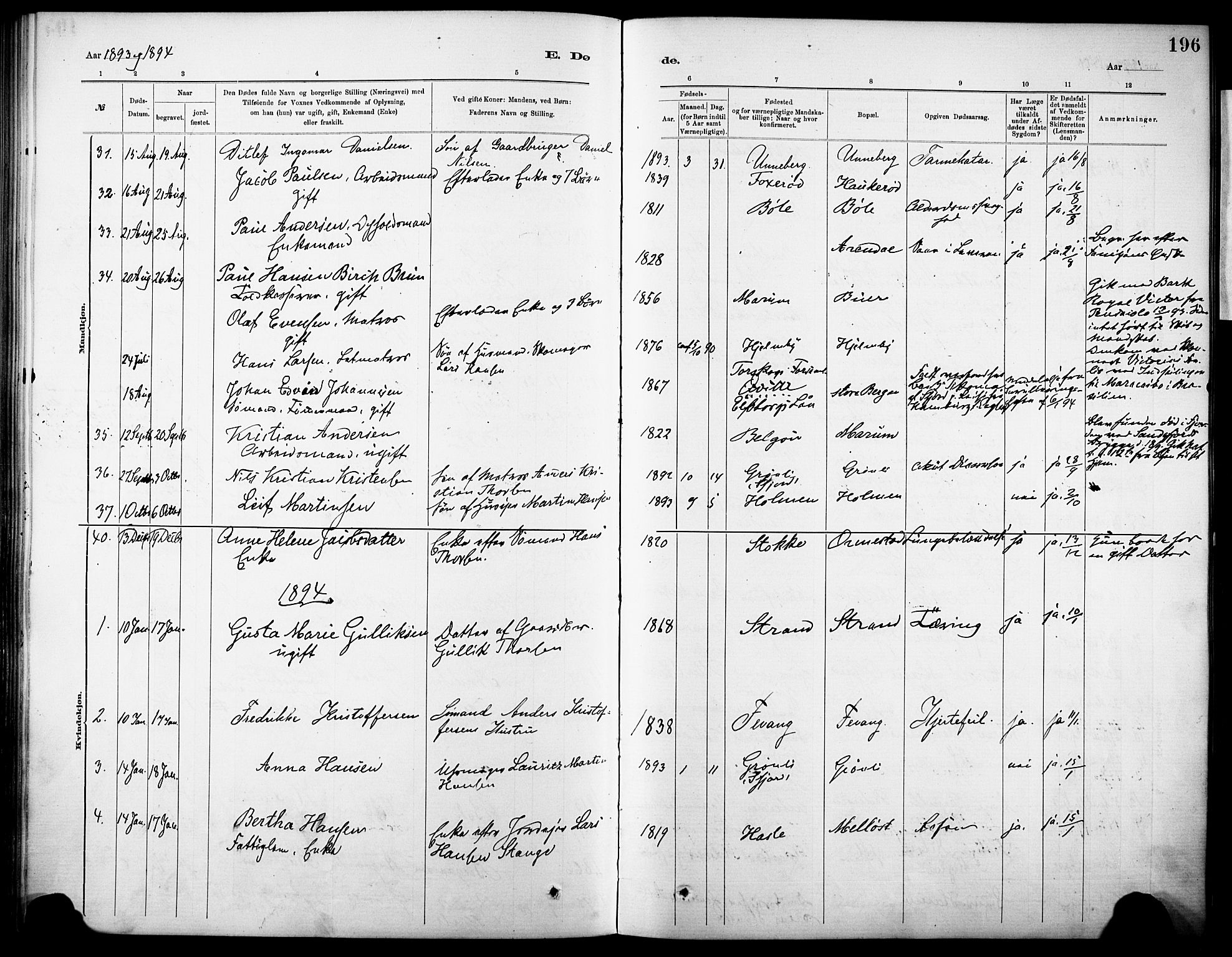 Sandar kirkebøker, SAKO/A-243/F/Fa/L0013: Parish register (official) no. 13, 1883-1895, p. 196