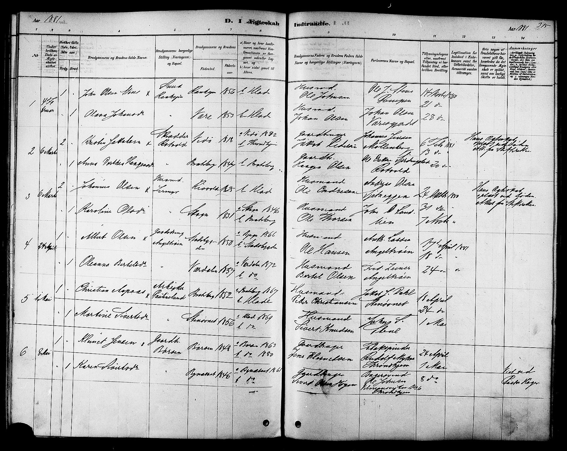 Ministerialprotokoller, klokkerbøker og fødselsregistre - Sør-Trøndelag, AV/SAT-A-1456/606/L0294: Parish register (official) no. 606A09, 1878-1886, p. 315