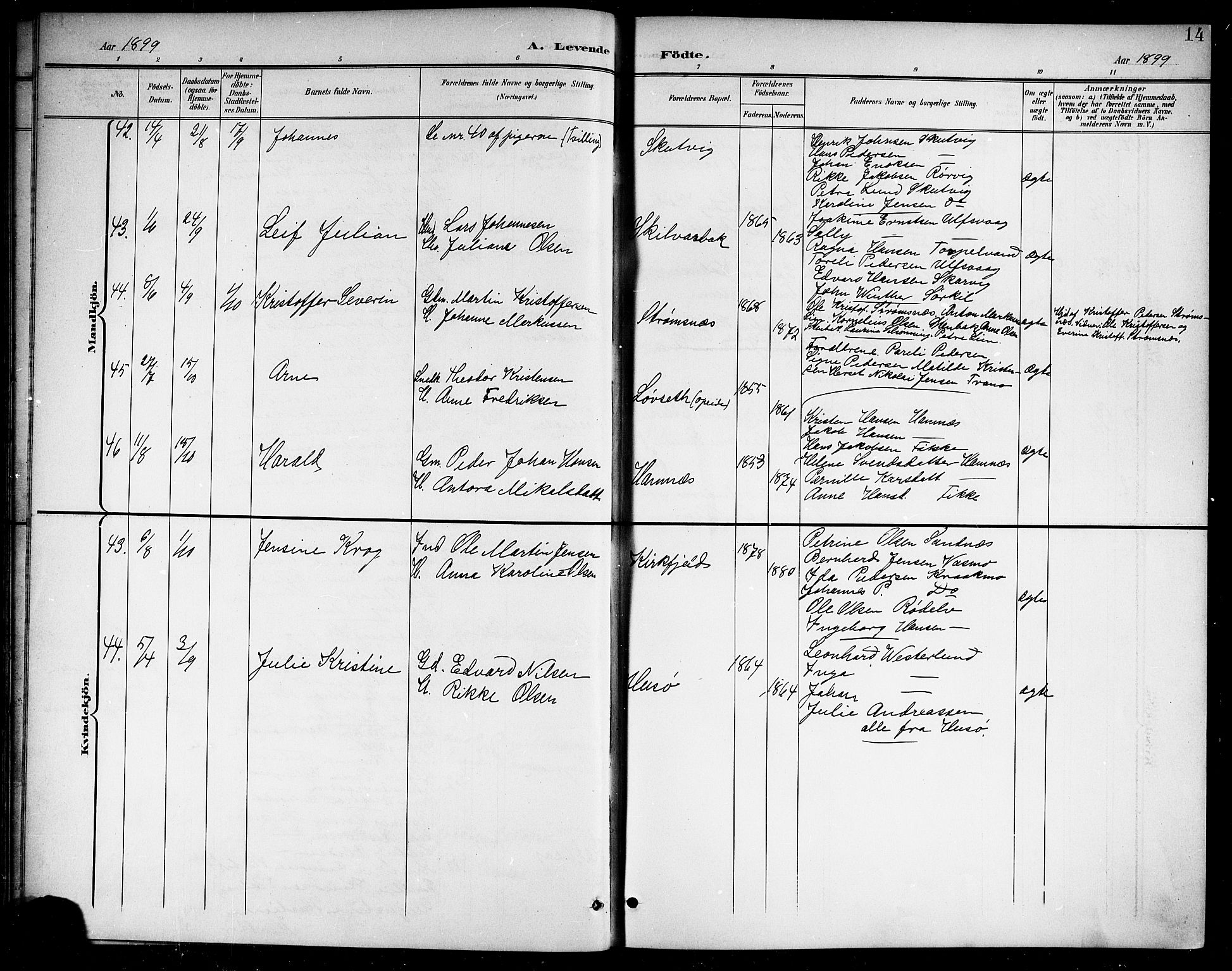 Ministerialprotokoller, klokkerbøker og fødselsregistre - Nordland, AV/SAT-A-1459/859/L0860: Parish register (copy) no. 859C06, 1899-1909, p. 14