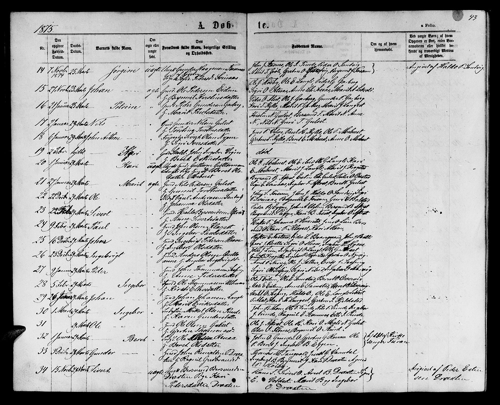 Ministerialprotokoller, klokkerbøker og fødselsregistre - Sør-Trøndelag, SAT/A-1456/695/L1156: Parish register (copy) no. 695C07, 1869-1888, p. 43