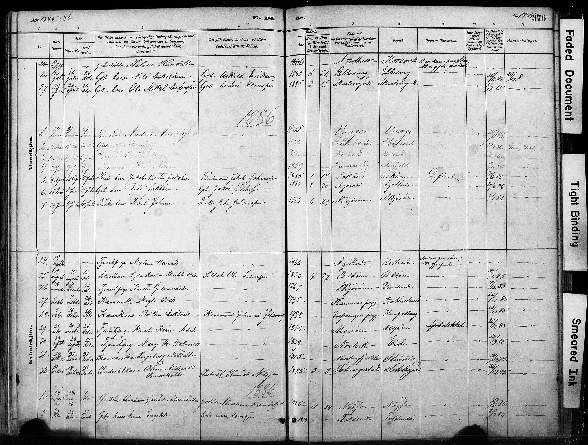 Fjell sokneprestembete, SAB/A-75301/H/Hab: Parish register (copy) no. A 4, 1880-1899, p. 376
