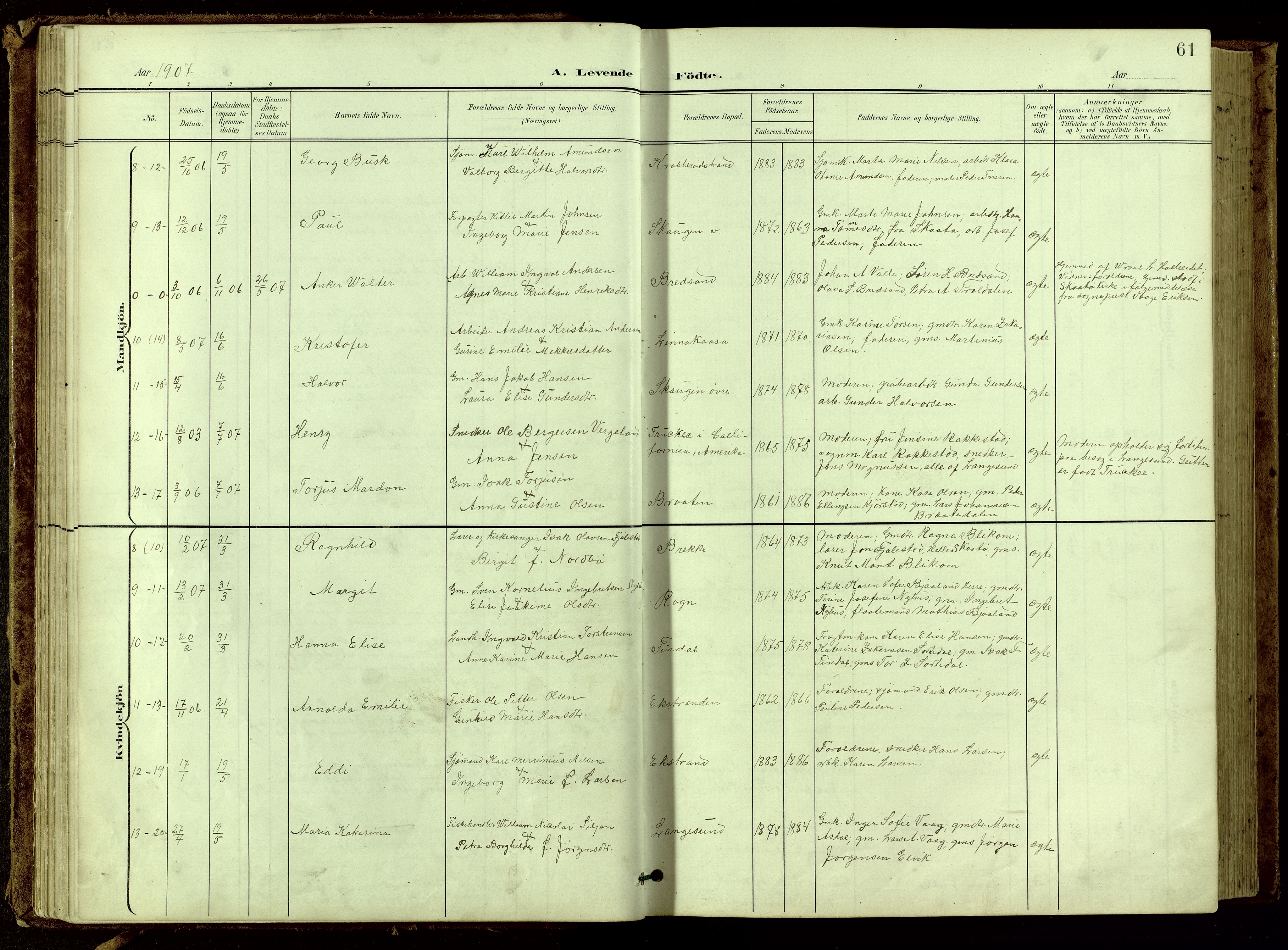 Bamble kirkebøker, SAKO/A-253/G/Ga/L0010: Parish register (copy) no. I 10, 1901-1919, p. 61