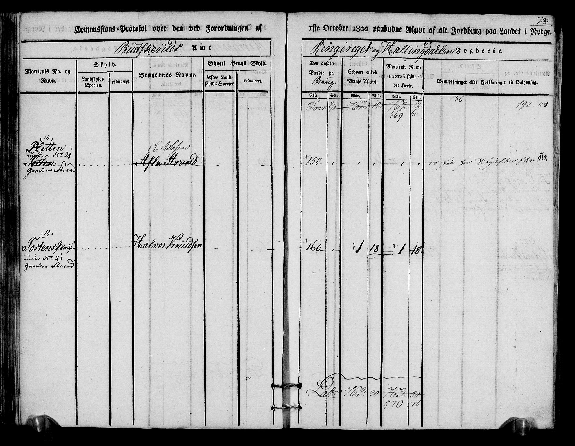 Rentekammeret inntil 1814, Realistisk ordnet avdeling, AV/RA-EA-4070/N/Ne/Nea/L0048: Ringerike og Hallingdal fogderi. Kommisjonsprotokoll for Ål prestegjeld, 1803, p. 82