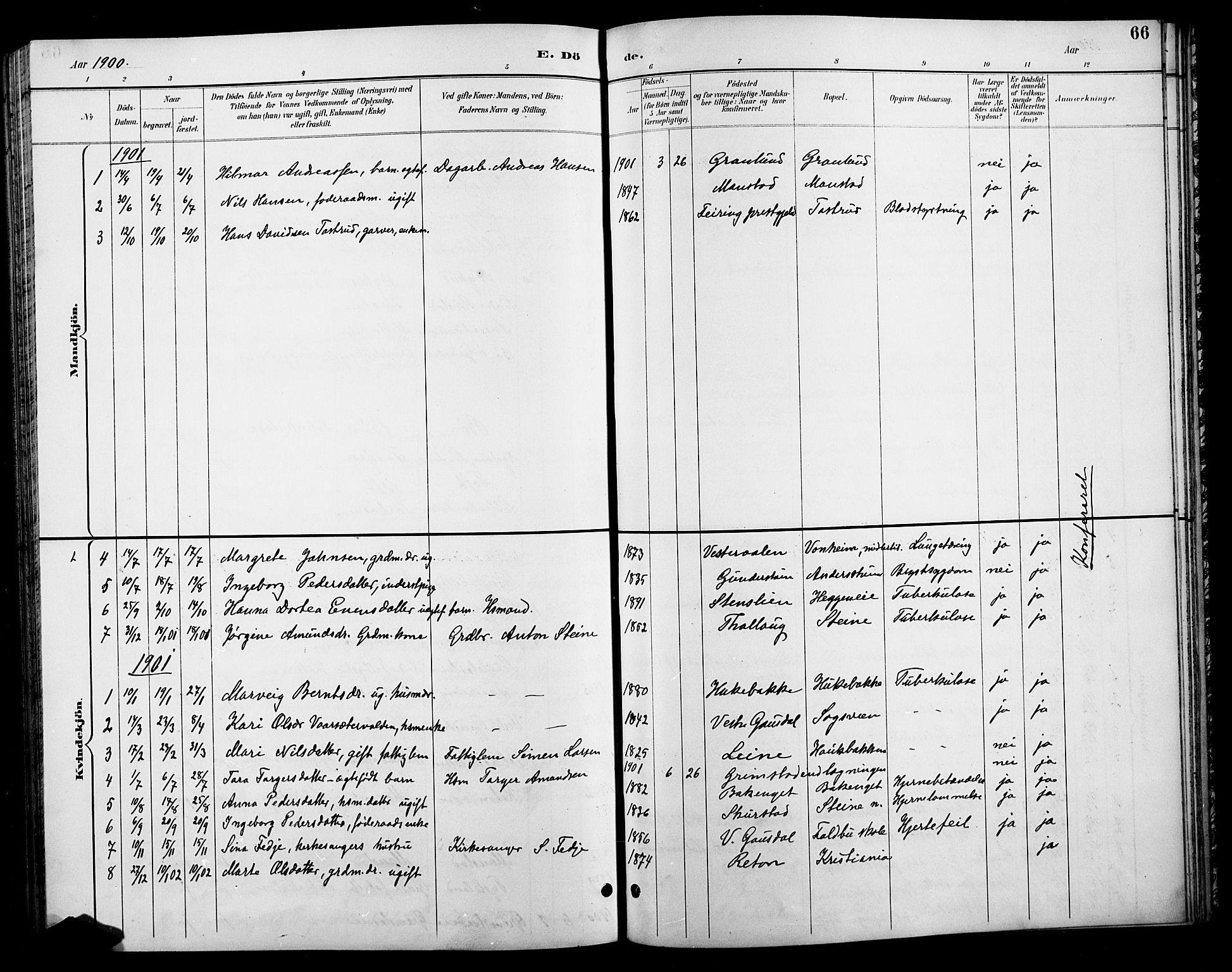 Østre Gausdal prestekontor, SAH/PREST-092/H/Ha/Hab/L0003: Parish register (copy) no. 3, 1894-1915, p. 66