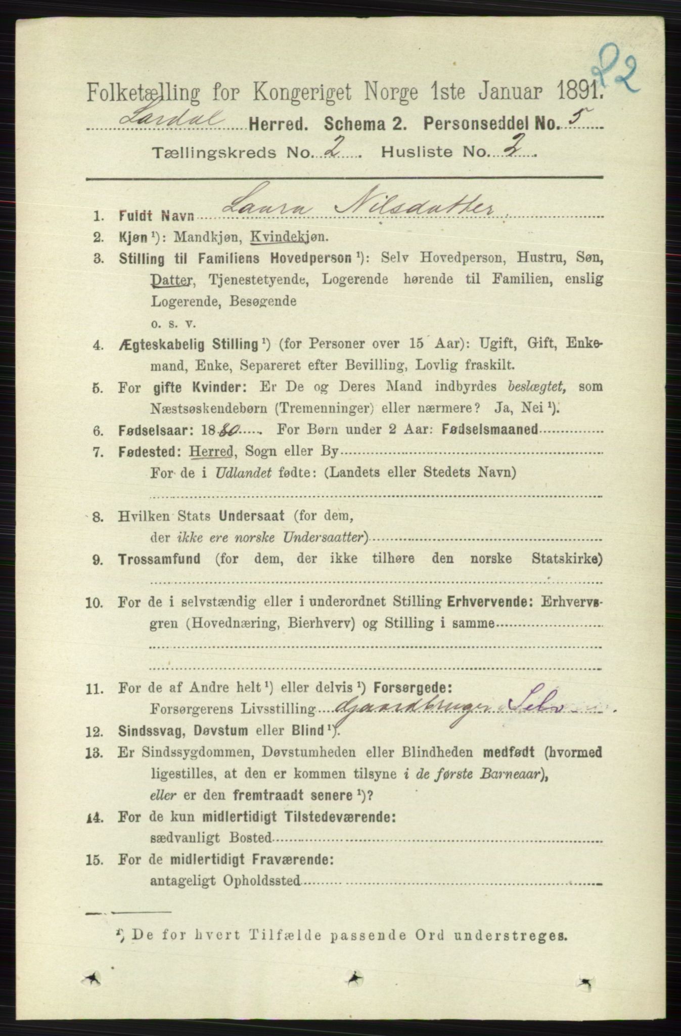 RA, 1891 census for 0728 Lardal, 1891, p. 736