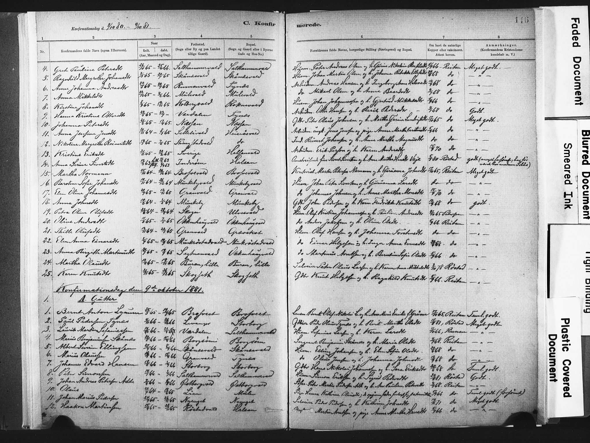 Ministerialprotokoller, klokkerbøker og fødselsregistre - Nord-Trøndelag, SAT/A-1458/721/L0207: Parish register (official) no. 721A02, 1880-1911, p. 116
