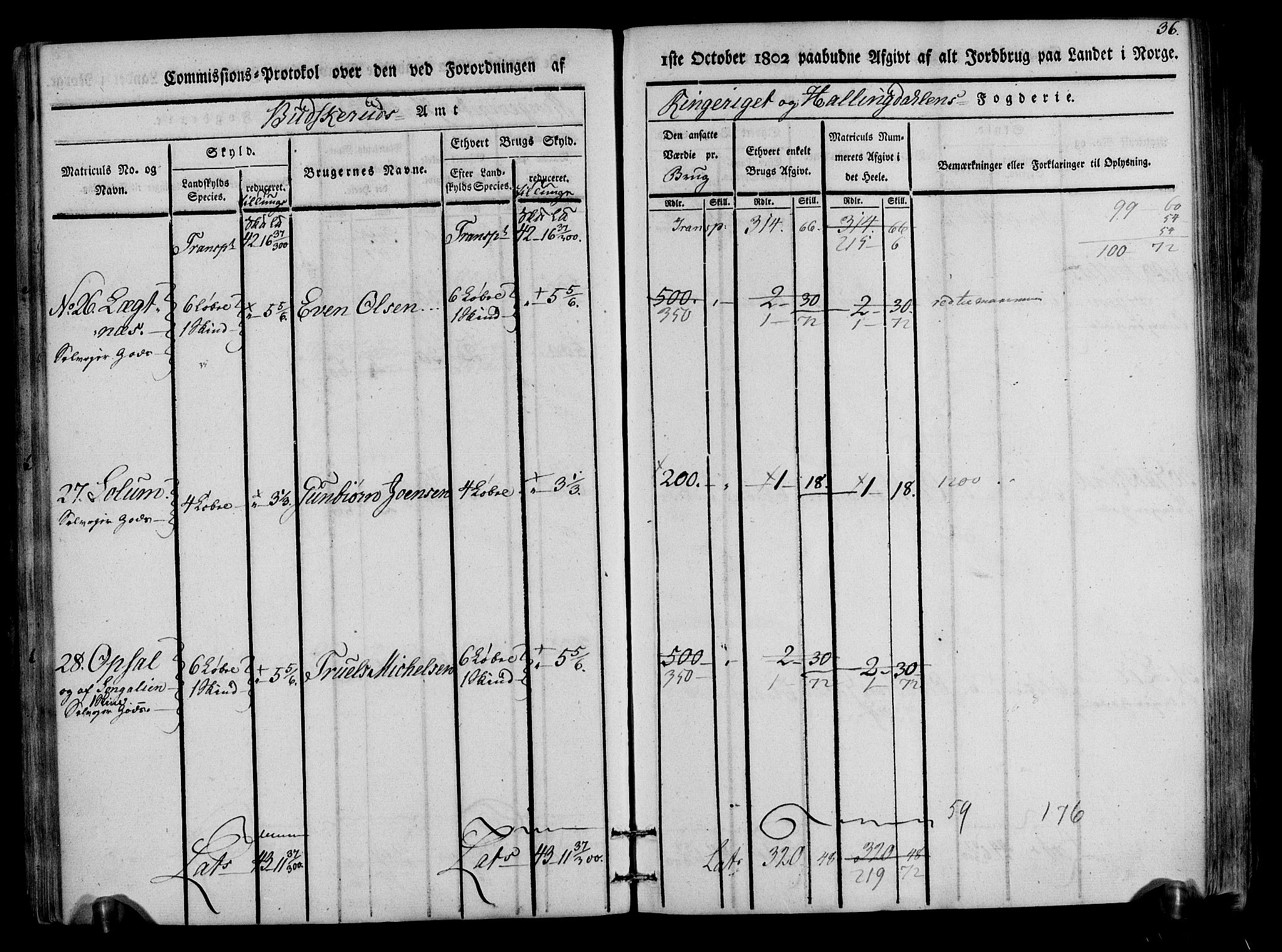 Rentekammeret inntil 1814, Realistisk ordnet avdeling, AV/RA-EA-4070/N/Ne/Nea/L0047: Ringerike og Hallingdal fogderi. Kommisjonsprotokoll for Nes prestegjeld, 1803, p. 38