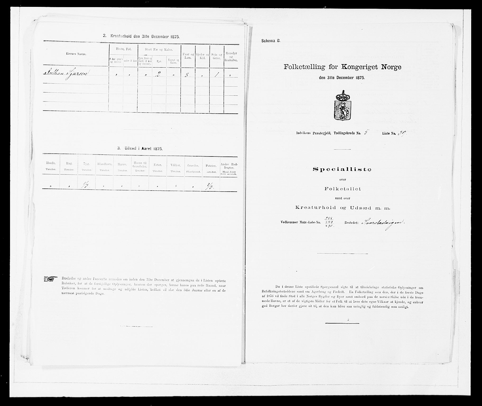 SAB, 1875 Census for 1447P Innvik, 1875, p. 610