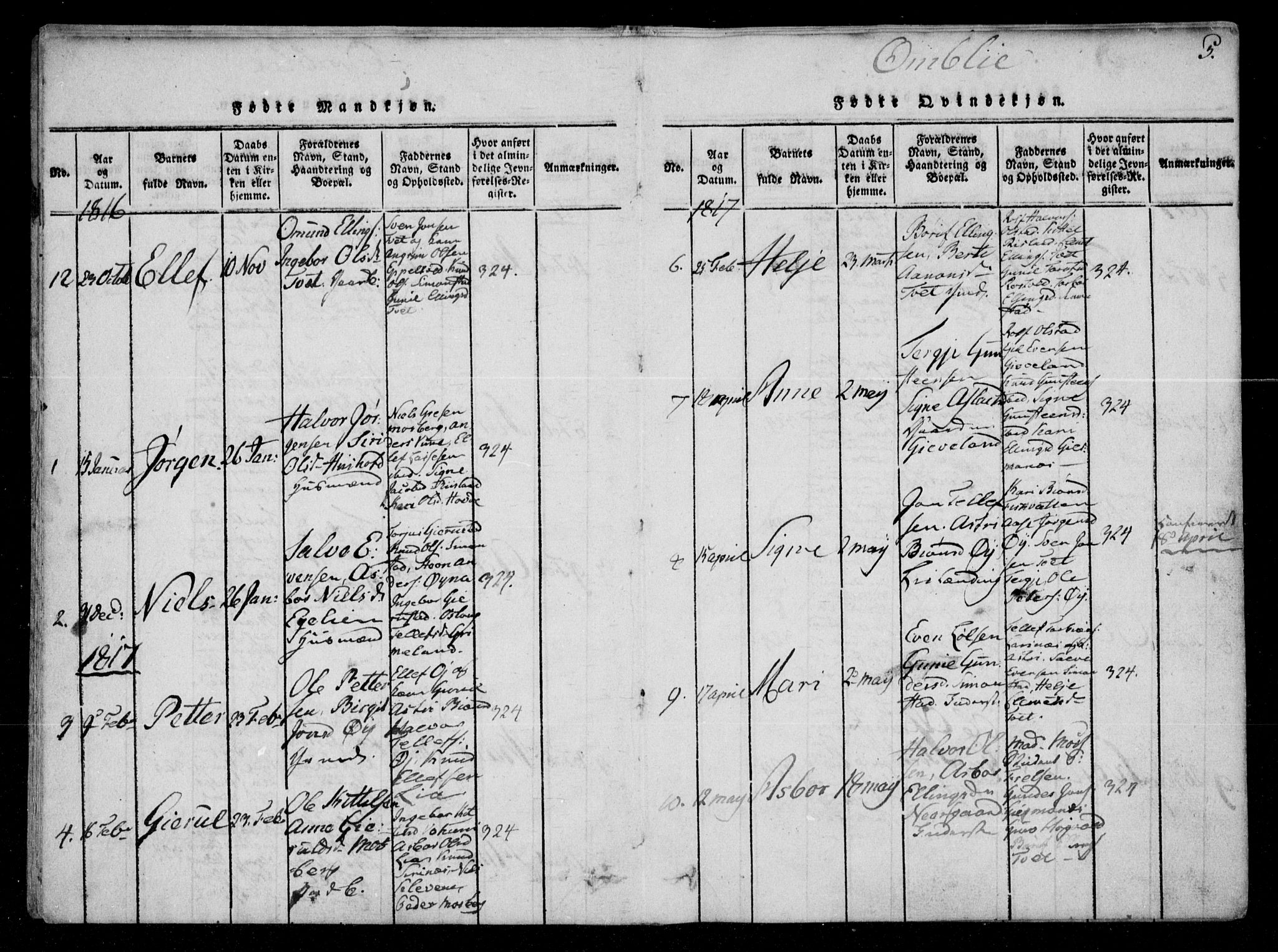 Åmli sokneprestkontor, AV/SAK-1111-0050/F/Fa/Fac/L0006: Parish register (official) no. A 6, 1816-1829, p. 5