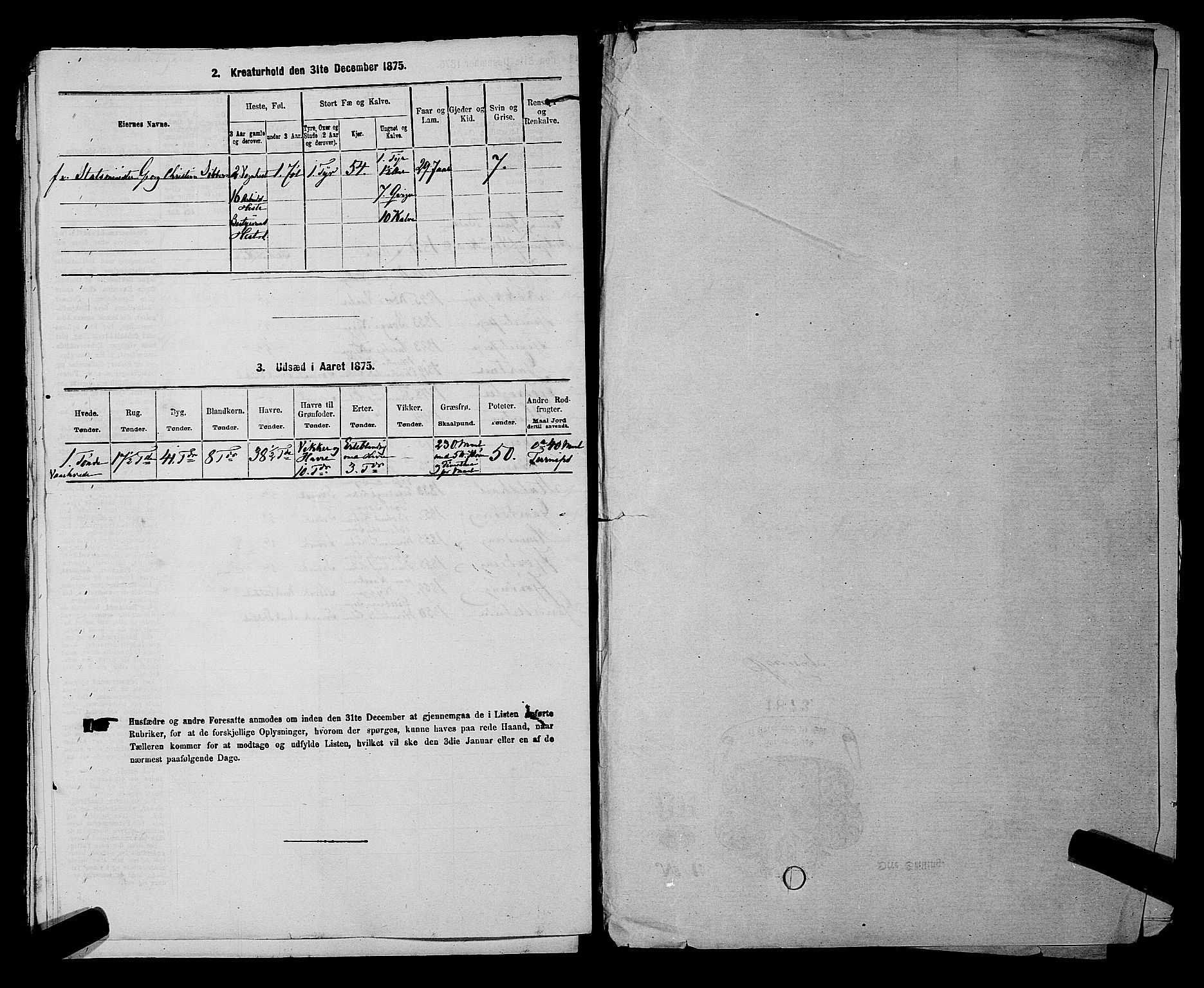 RA, 1875 census for 0136P Rygge, 1875, p. 806