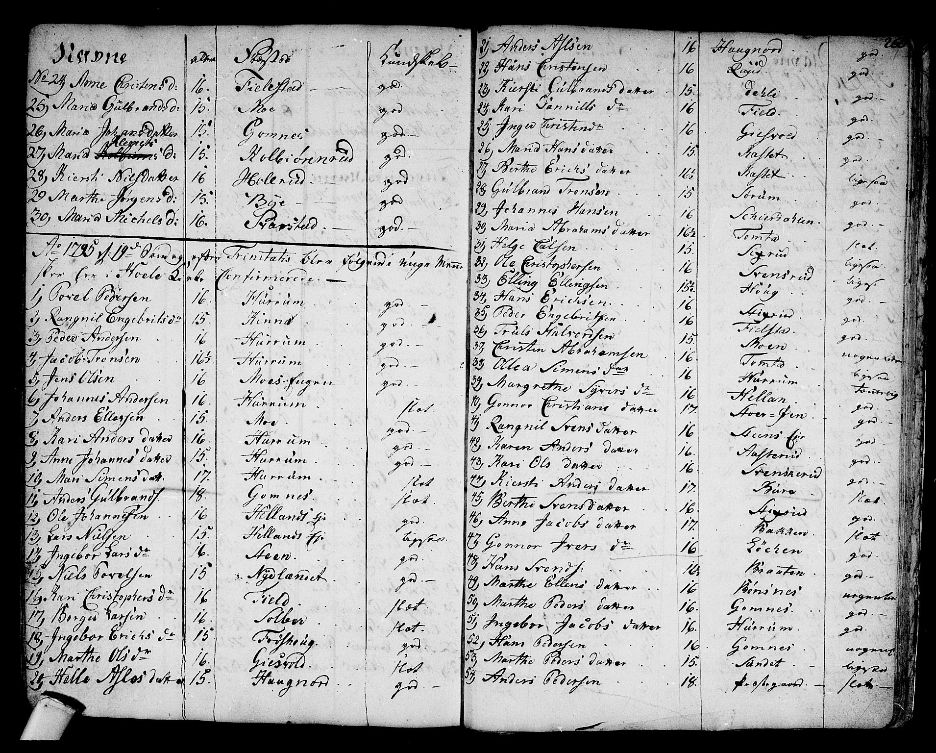 Hole kirkebøker, SAKO/A-228/F/Fa/L0002: Parish register (official) no. I 2, 1766-1814, p. 260