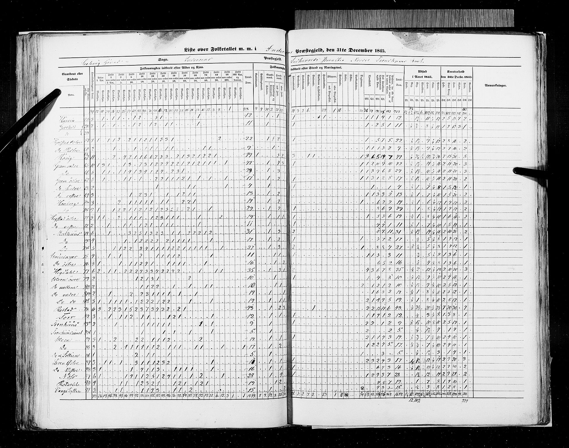 RA, Census 1845, vol. 9A: Nordre Trondhjems amt, 1845