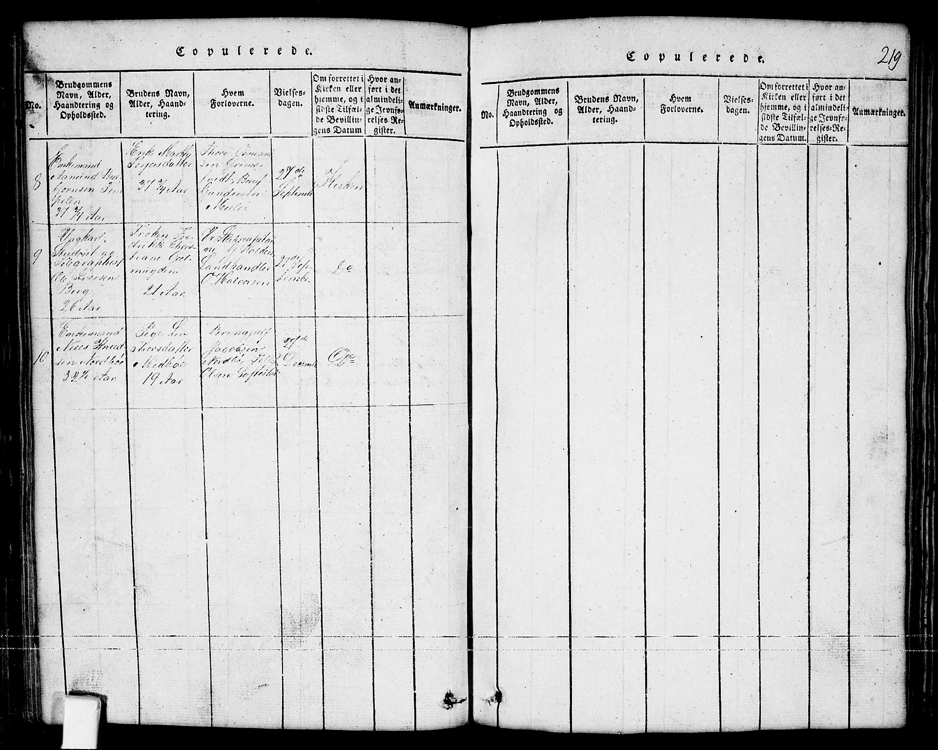Nissedal kirkebøker, SAKO/A-288/G/Ga/L0001: Parish register (copy) no. I 1, 1814-1860, p. 219
