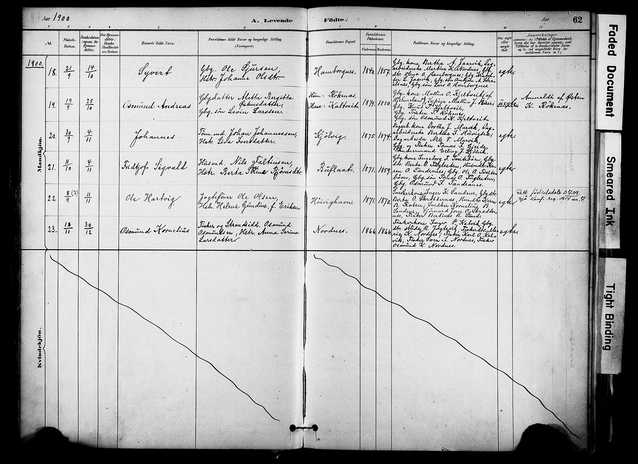 Jelsa sokneprestkontor, AV/SAST-A-101842/01/IV: Parish register (official) no. A 10, 1884-1906, p. 62