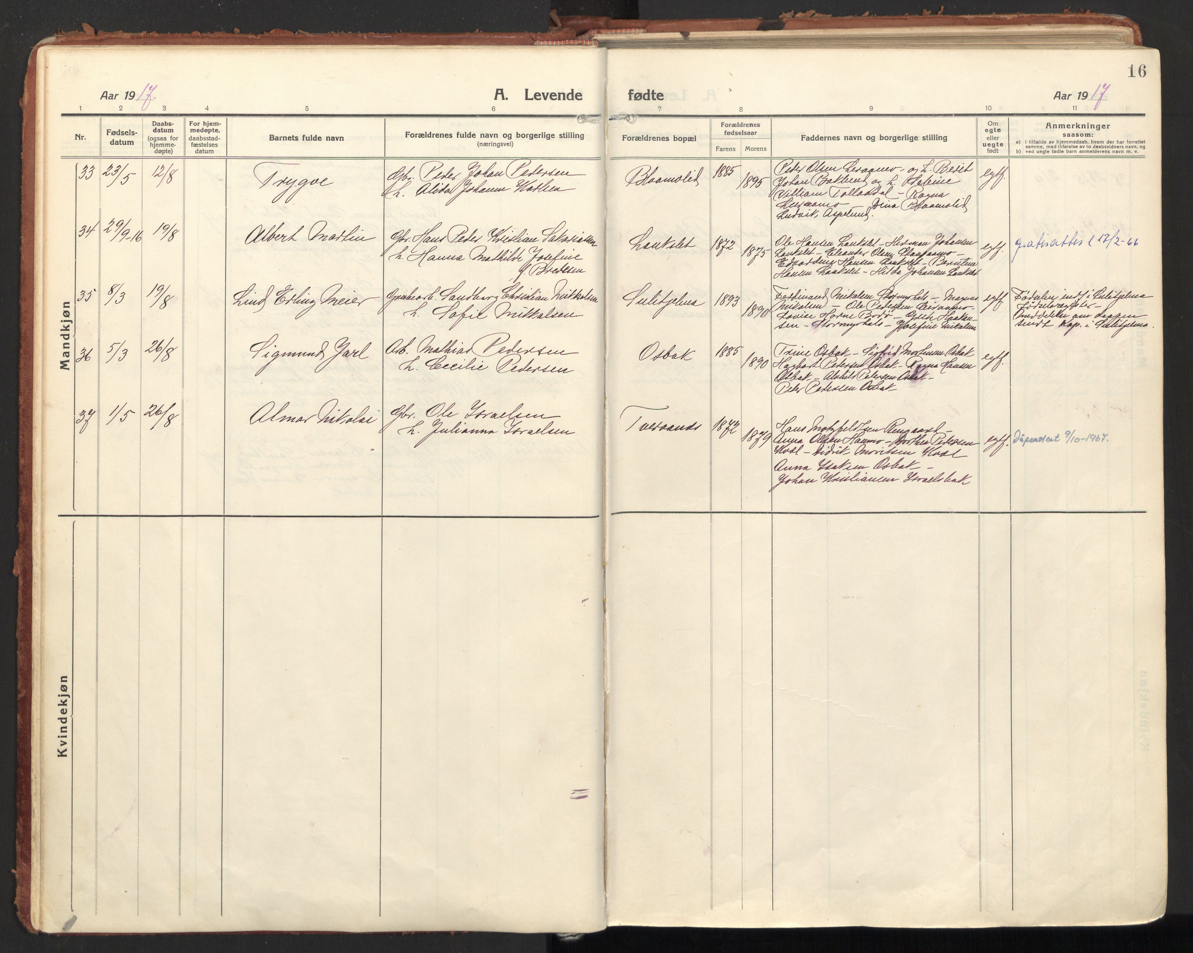 Ministerialprotokoller, klokkerbøker og fødselsregistre - Nordland, AV/SAT-A-1459/846/L0650: Parish register (official) no. 846A08, 1916-1935, p. 16